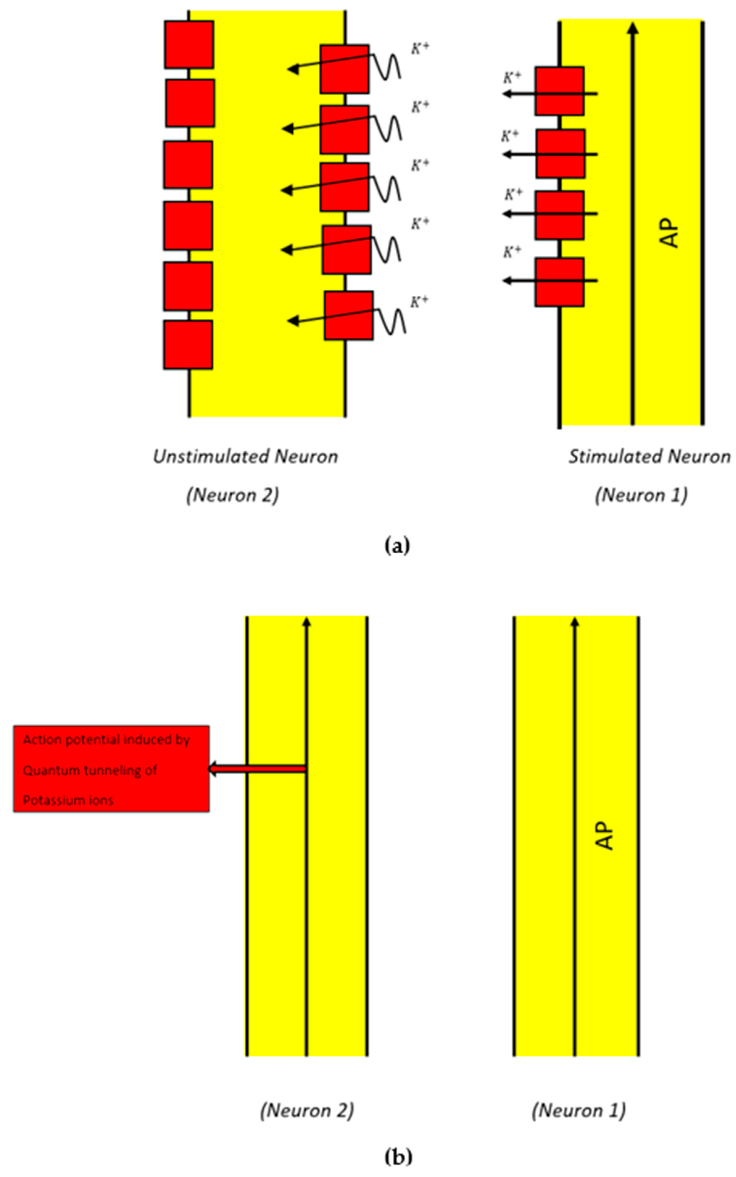 Brainsci 12 00426 g004 Brainsci 12 00426 g004