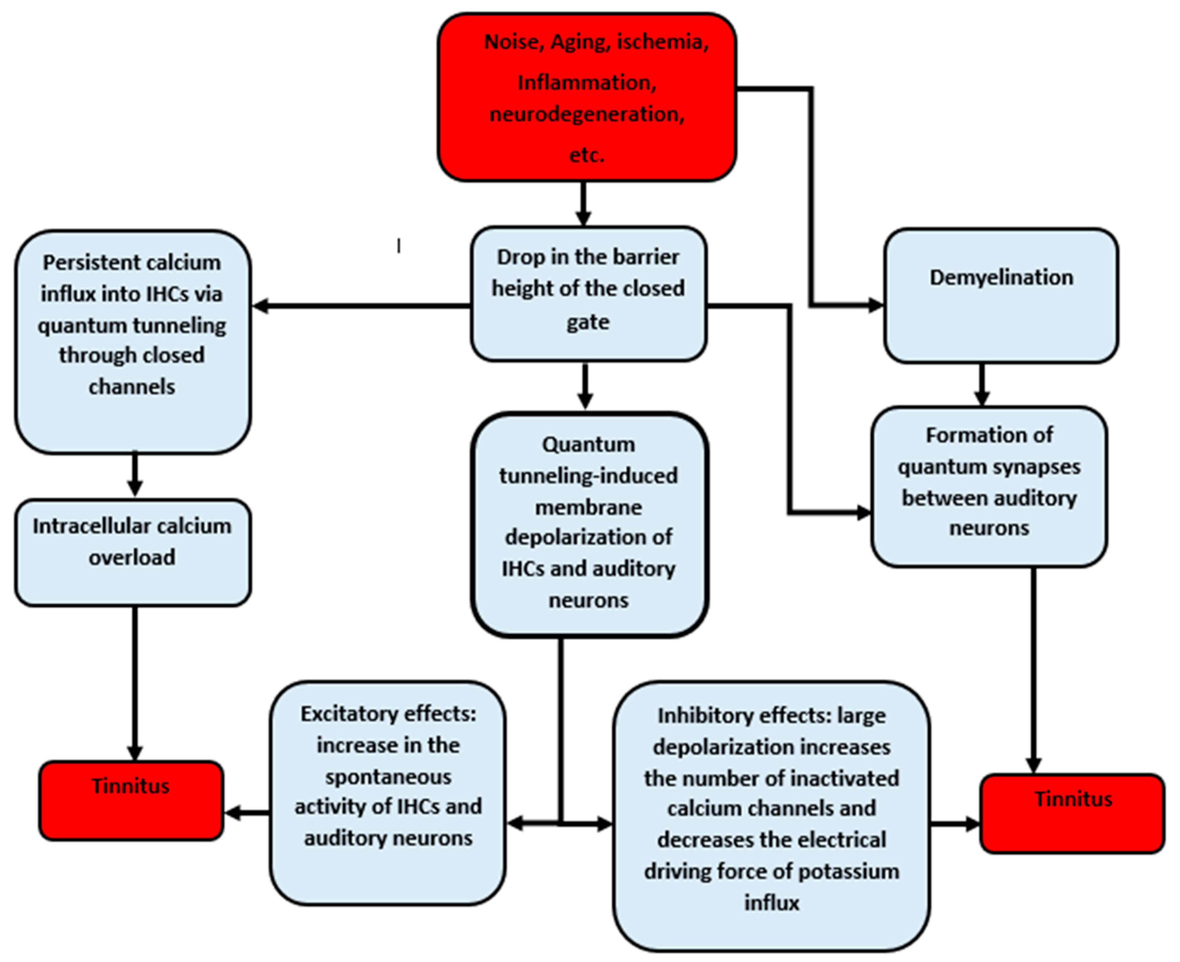Brainsci 12 00426 g013 Brainsci 12 00426 g013