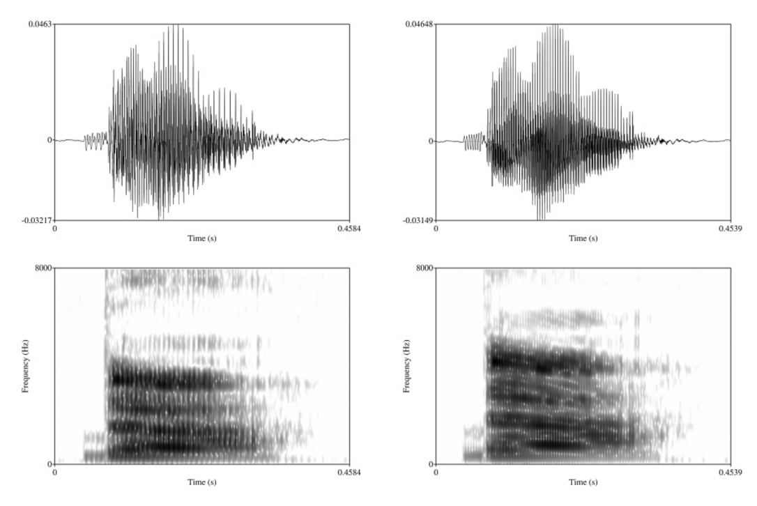 Brainsci 12 00427 g001