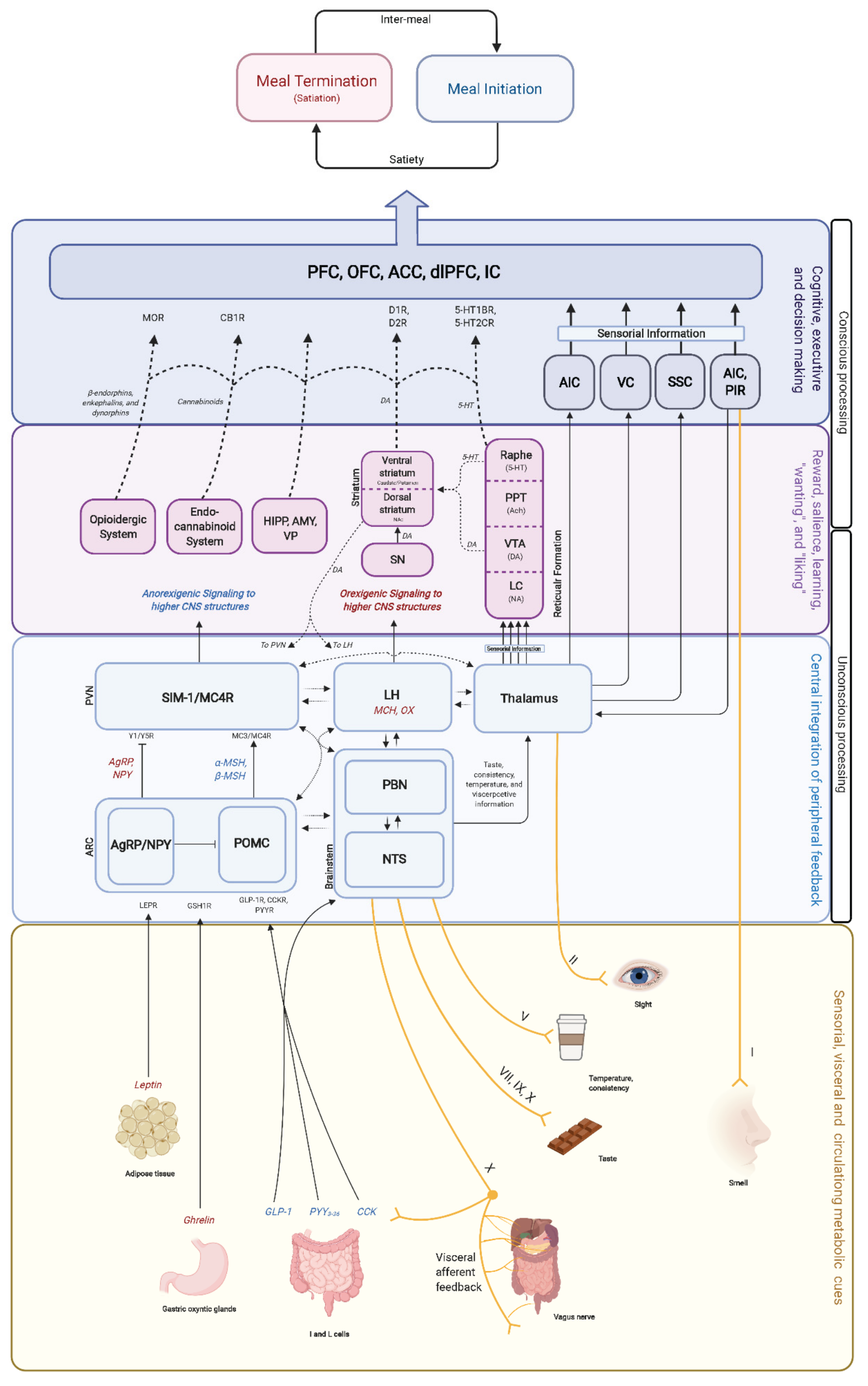 Brainsci 12 00431 g004