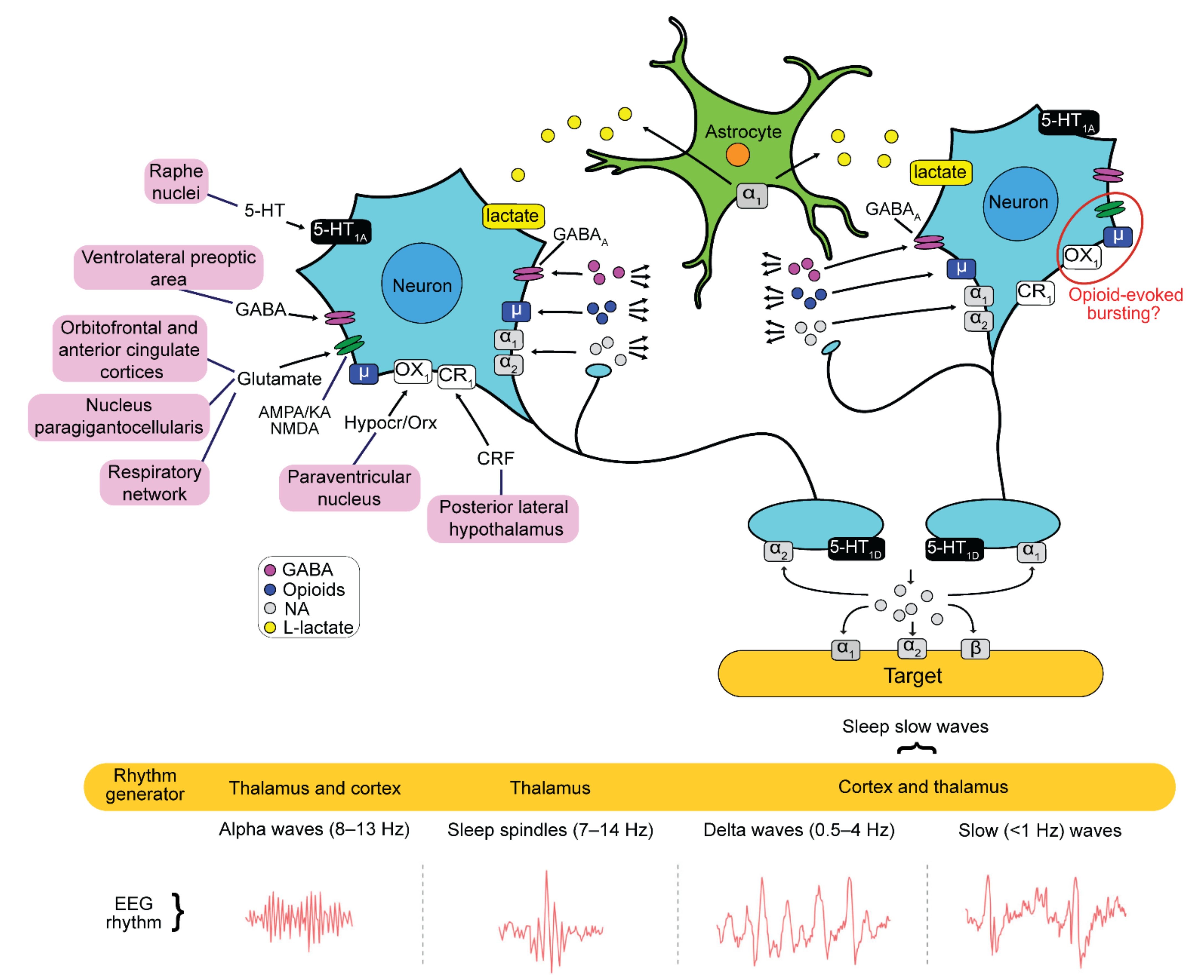 Brainsci 12 00437 g001 Brainsci 12 00437 g001