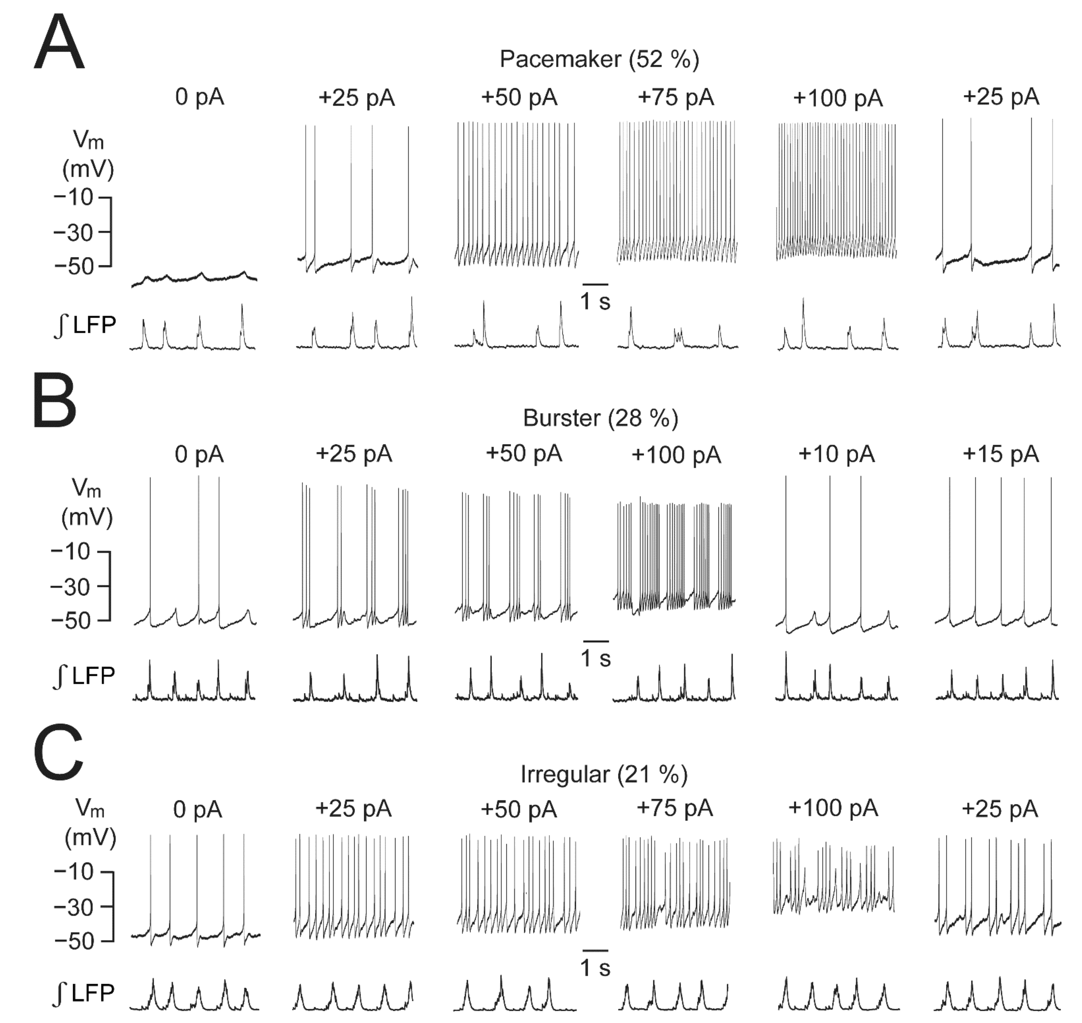 Brainsci 12 00437 g004 Brainsci 12 00437 g004
