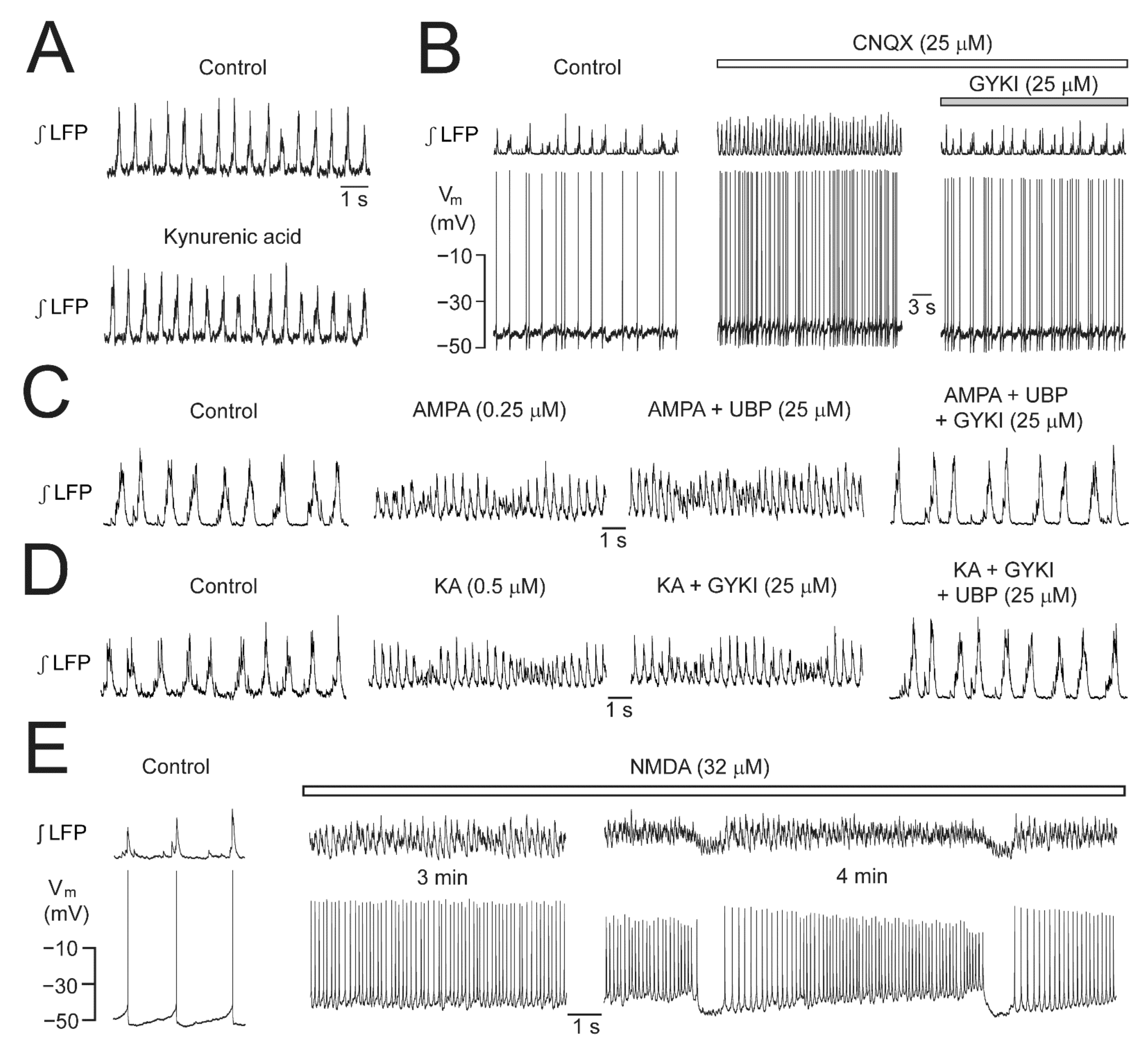 Brainsci 12 00437 g005 Brainsci 12 00437 g005
