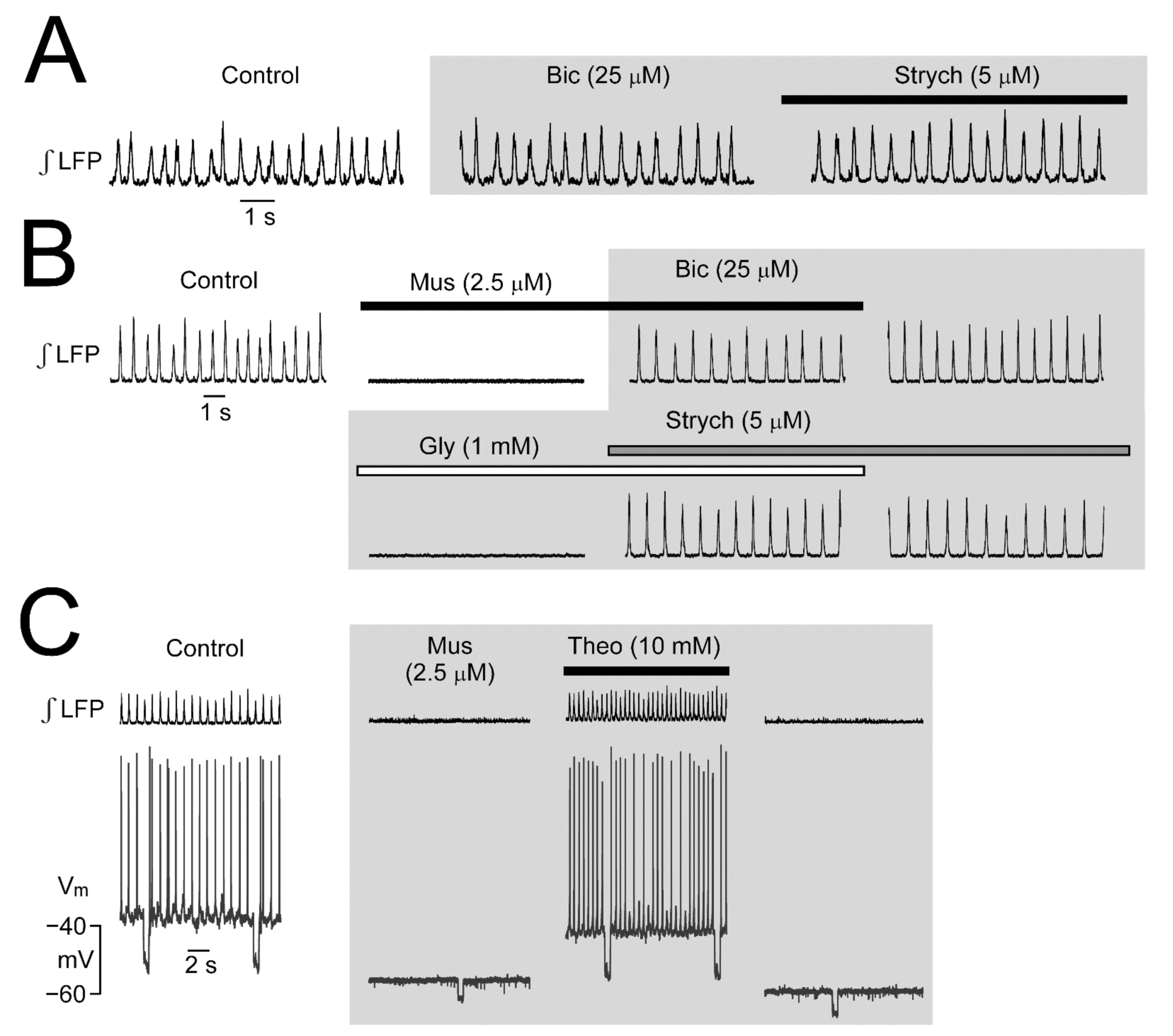 Brainsci 12 00437 g006 Brainsci 12 00437 g006