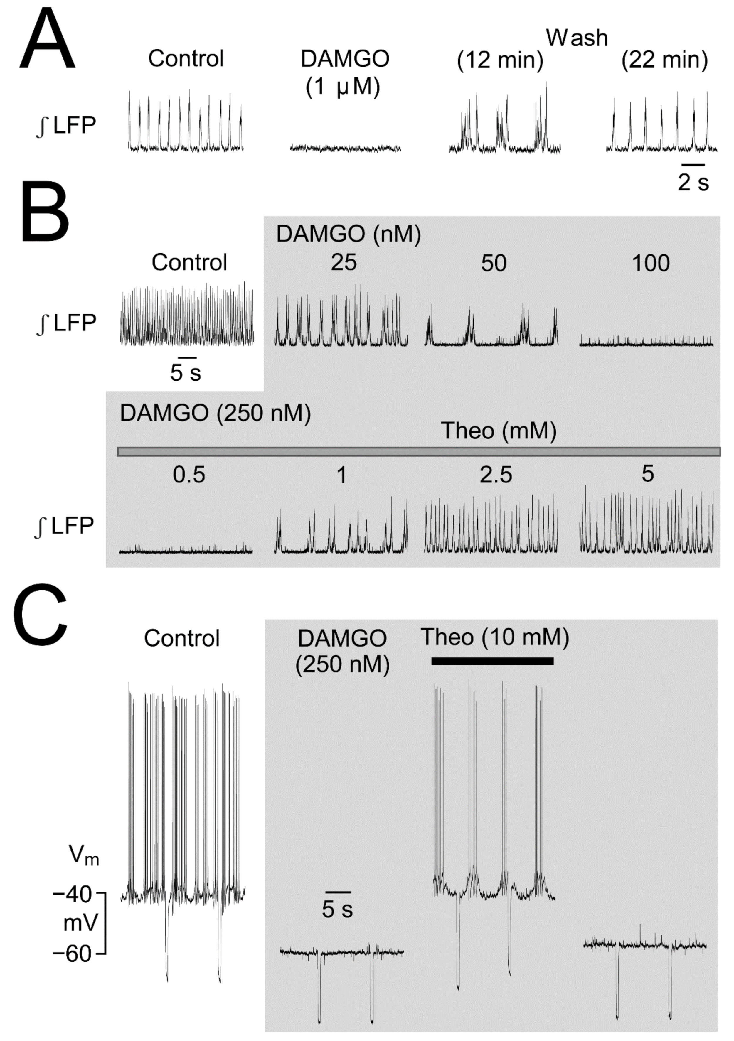 Brainsci 12 00437 g007 Brainsci 12 00437 g007