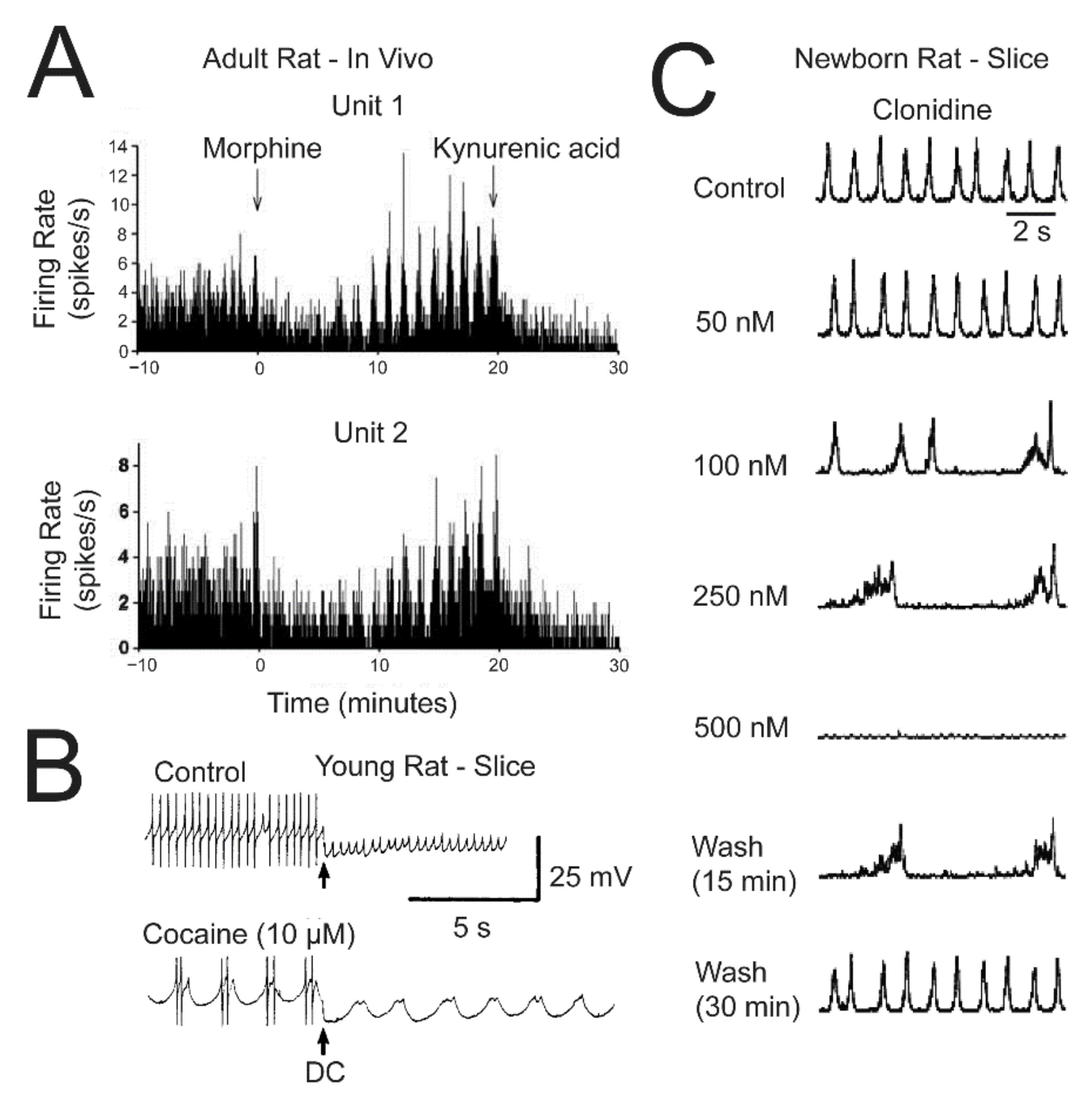 Brainsci 12 00437 g008 Brainsci 12 00437 g008