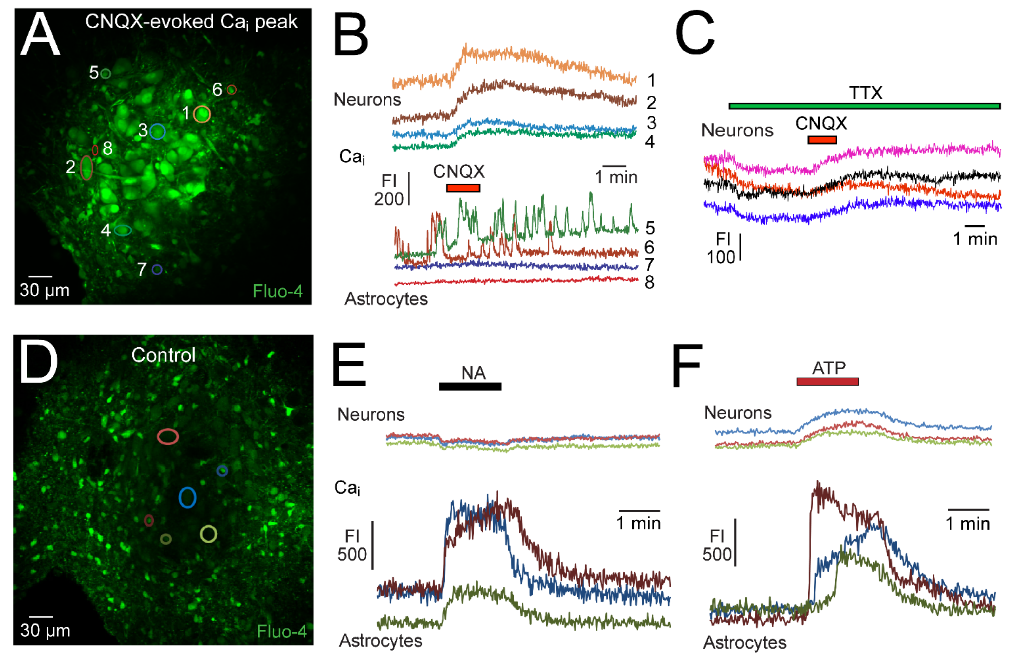 Brainsci 12 00437 g009 Brainsci 12 00437 g009