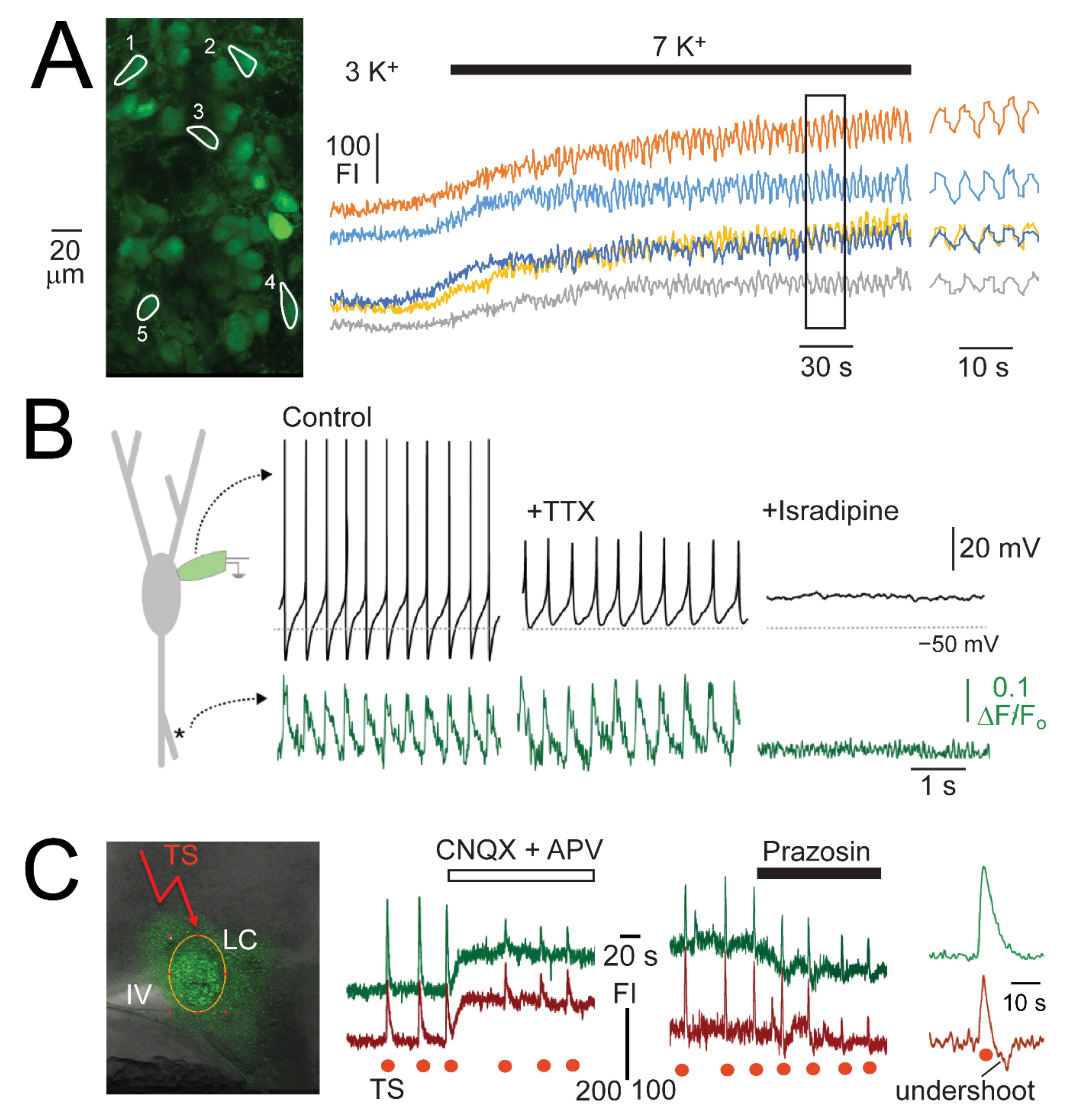Brainsci 12 00437 g010 Brainsci 12 00437 g010
