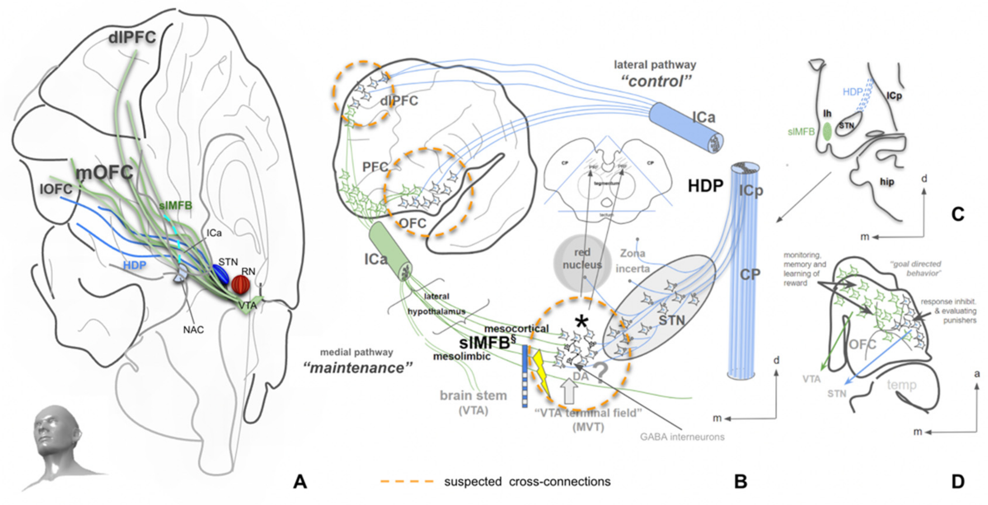 Brainsci 12 00438 g006 Brainsci 12 00438 g006