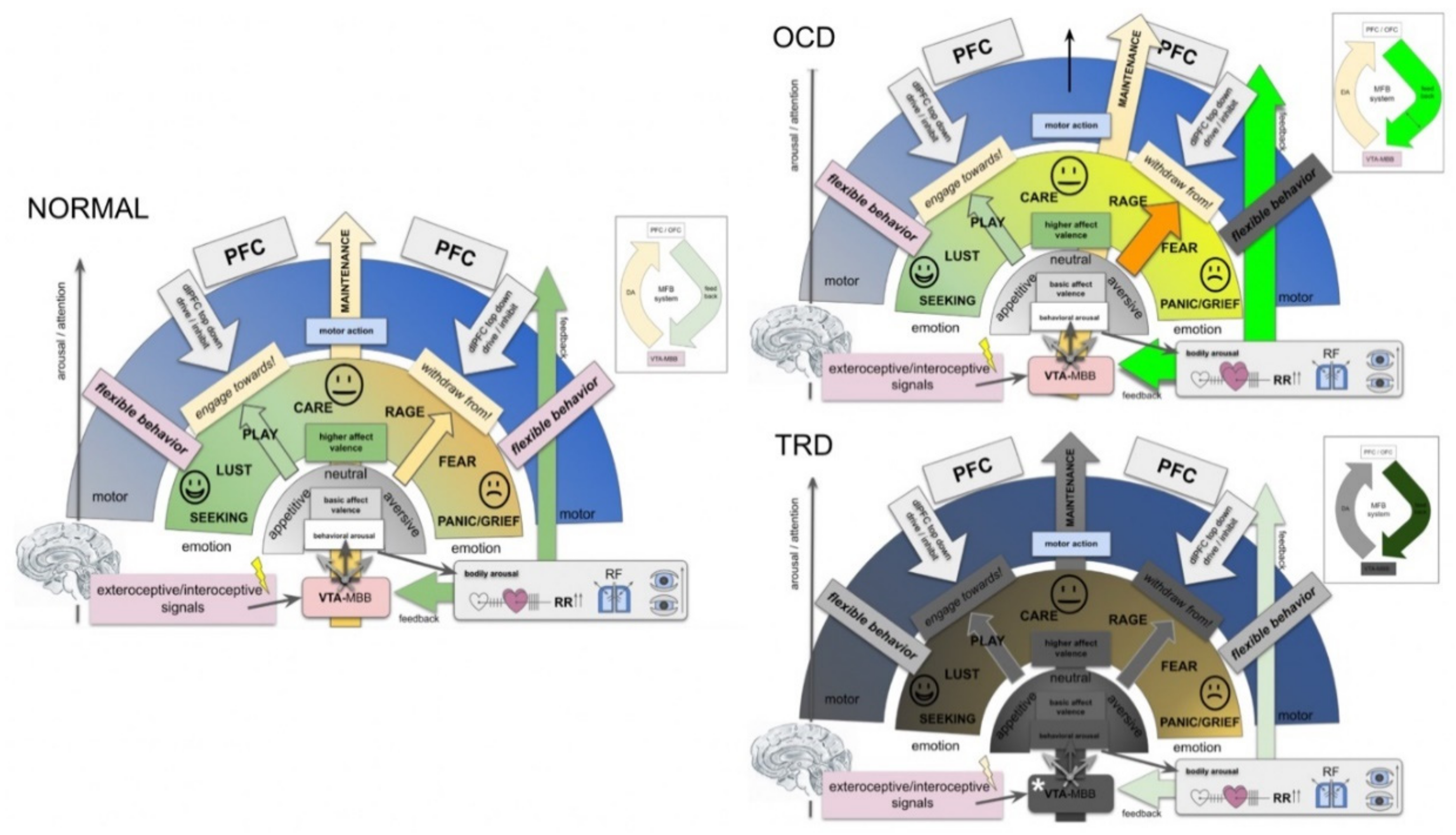 Brainsci 12 00438 g007 Brainsci 12 00438 g007