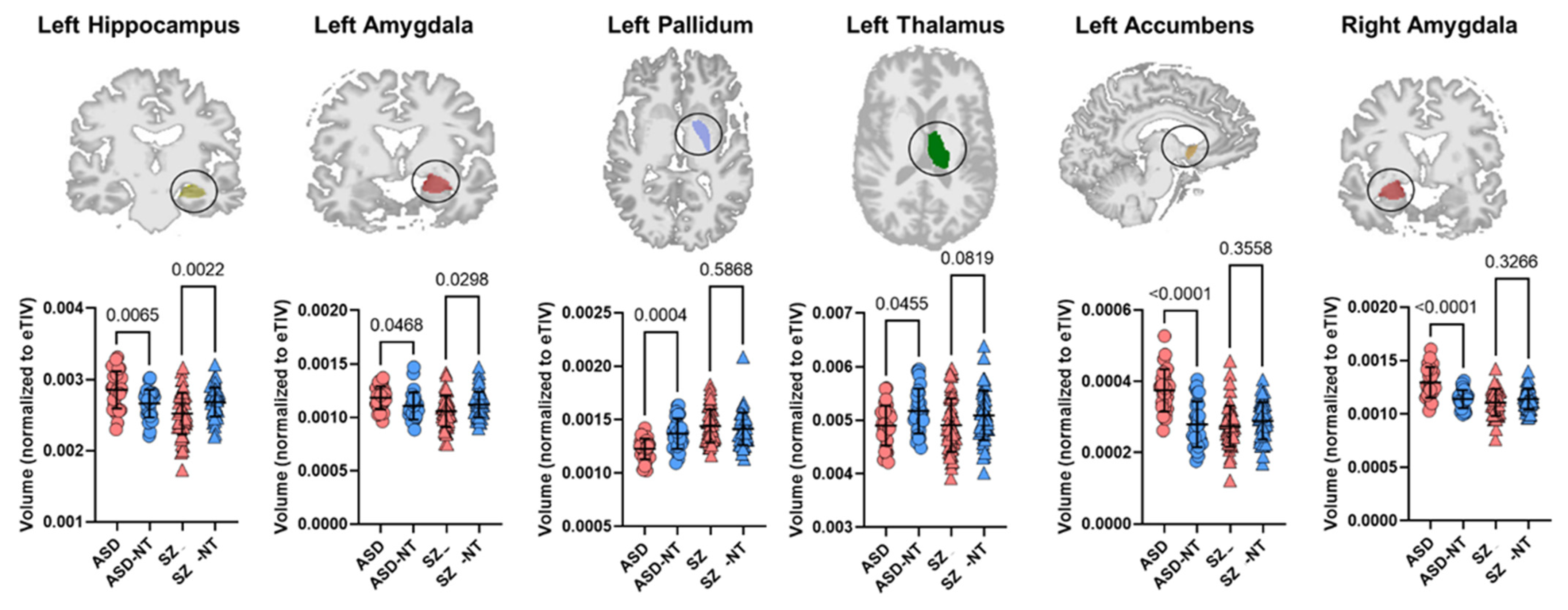 Brainsci 12 00439 g002