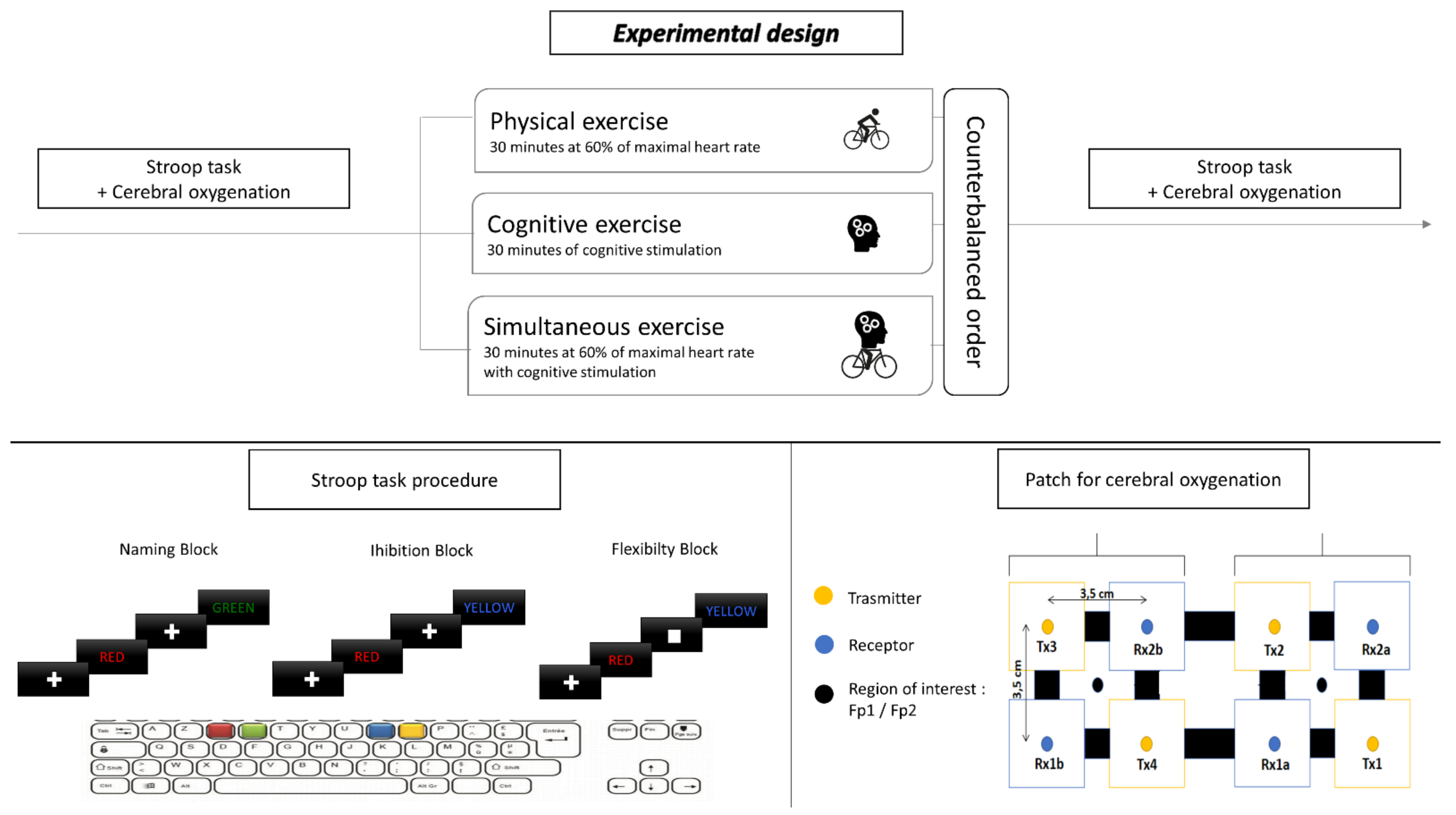 Brainsci 12 00455 g001 550