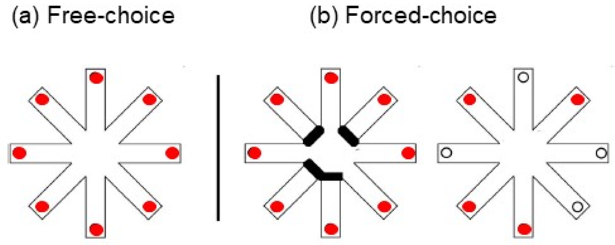 Brainsci 12 00468 g002