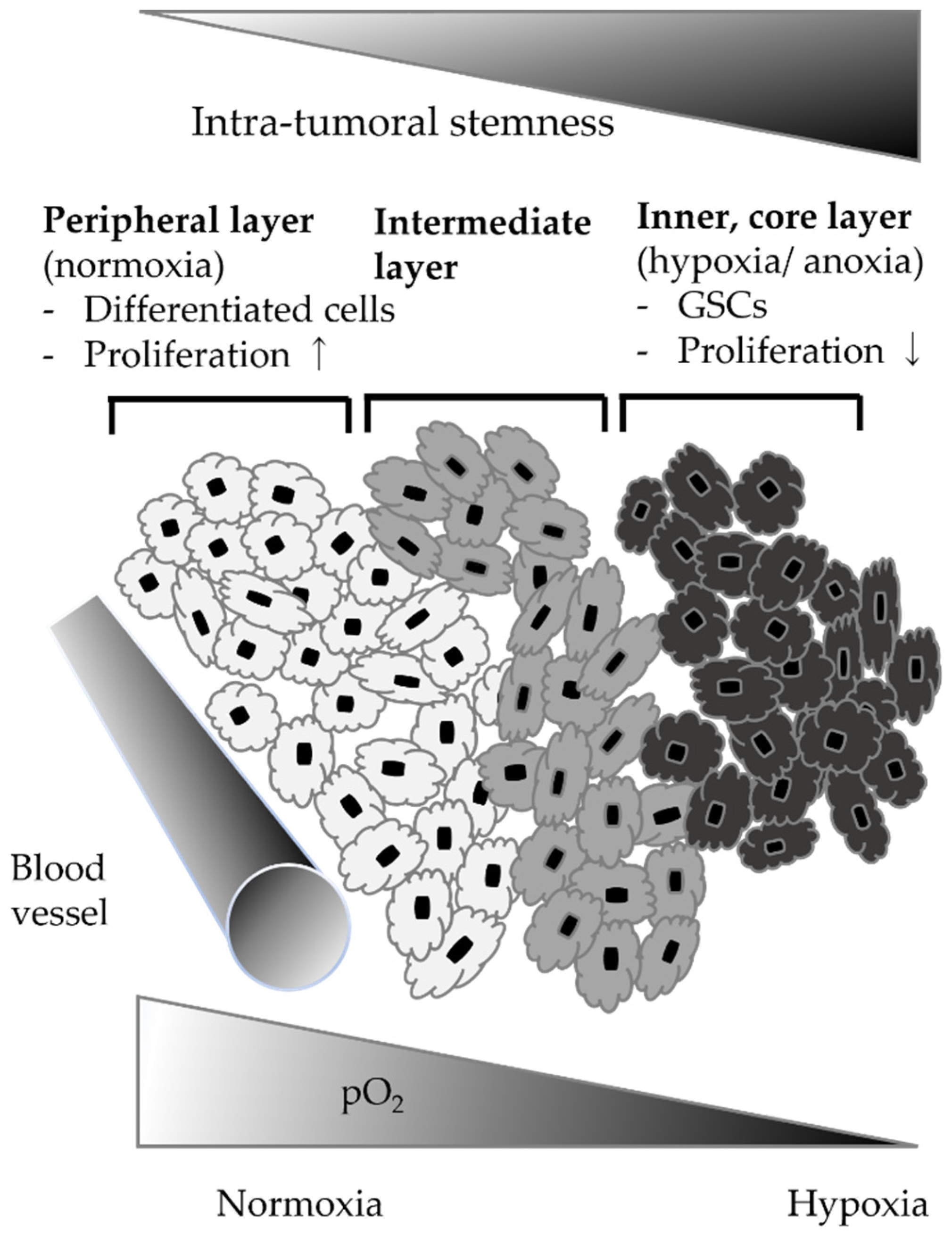 Brainsci 12 00473 g001 Brainsci 12 00473 g001