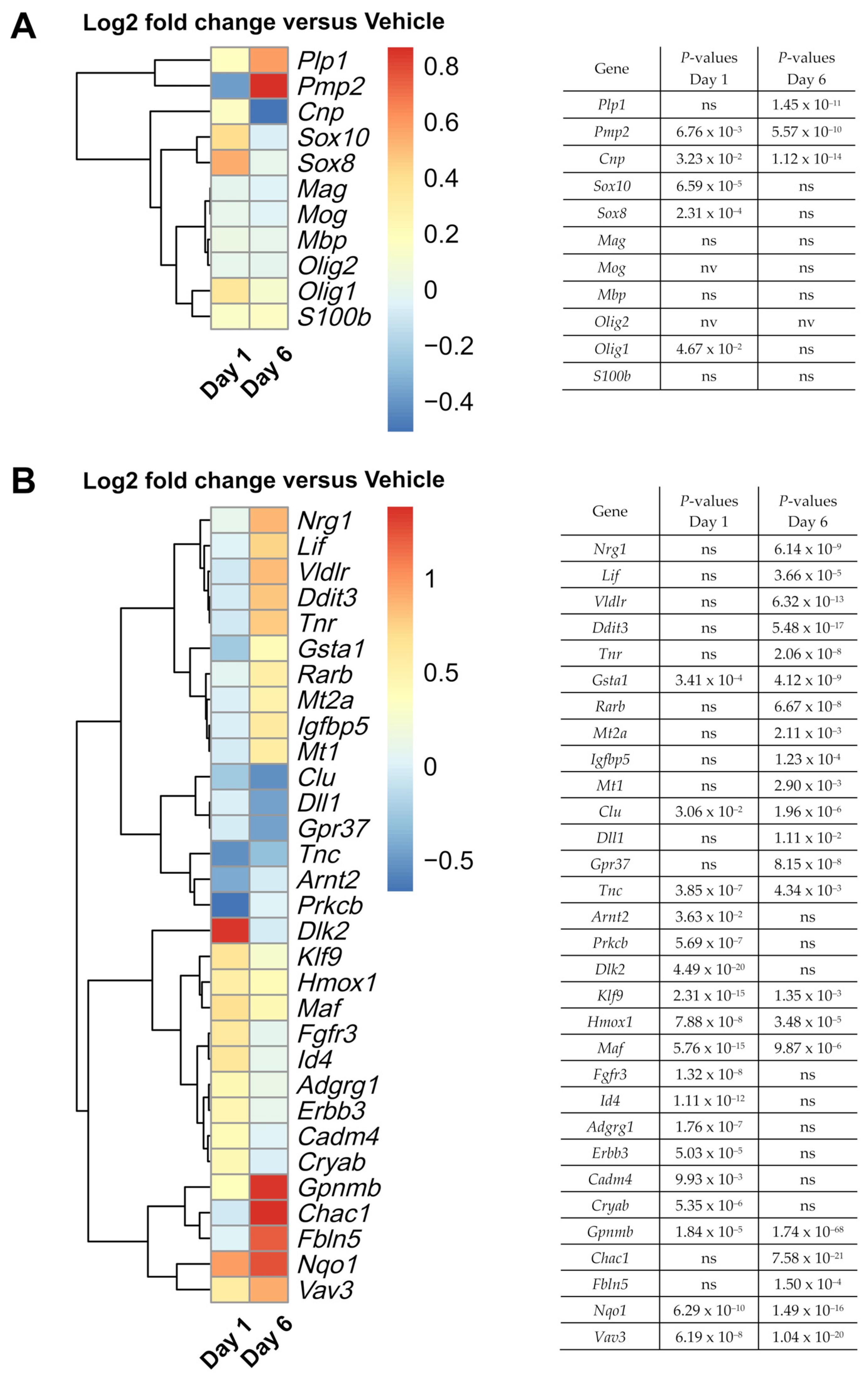 Brainsci 12 00476 g004 Brainsci 12 00476 g004