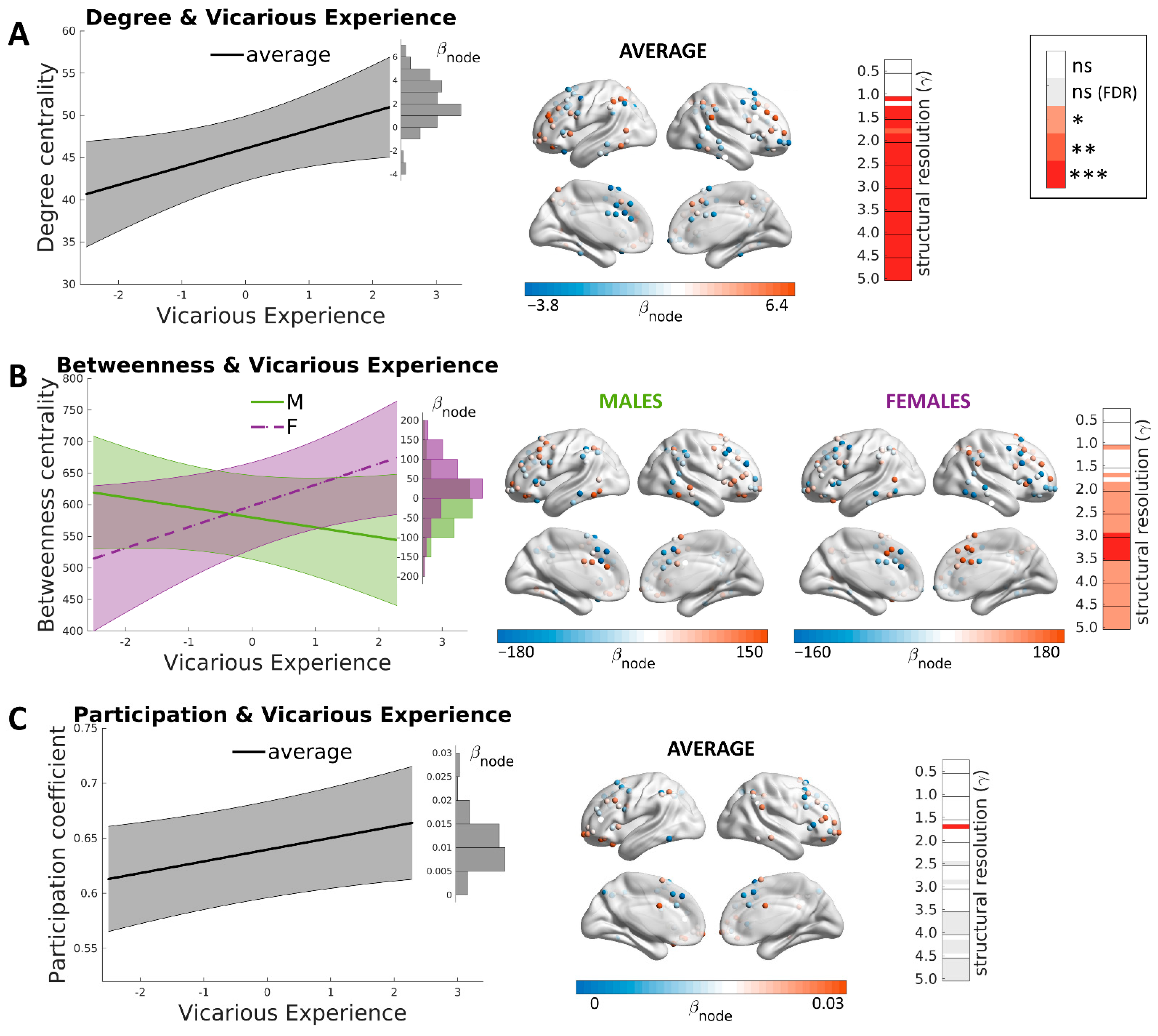 Brainsci 12 00477 g003