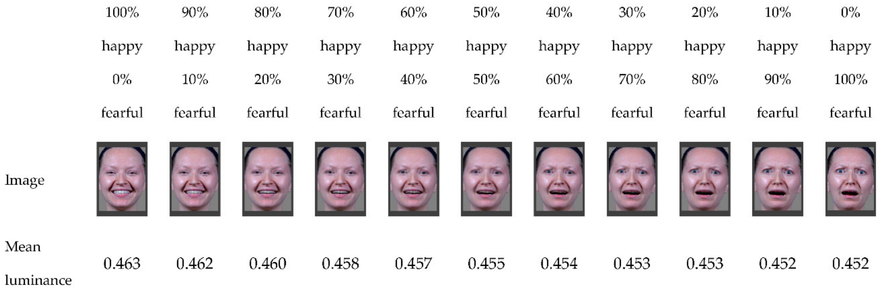 Brainsci 12 00479 g001