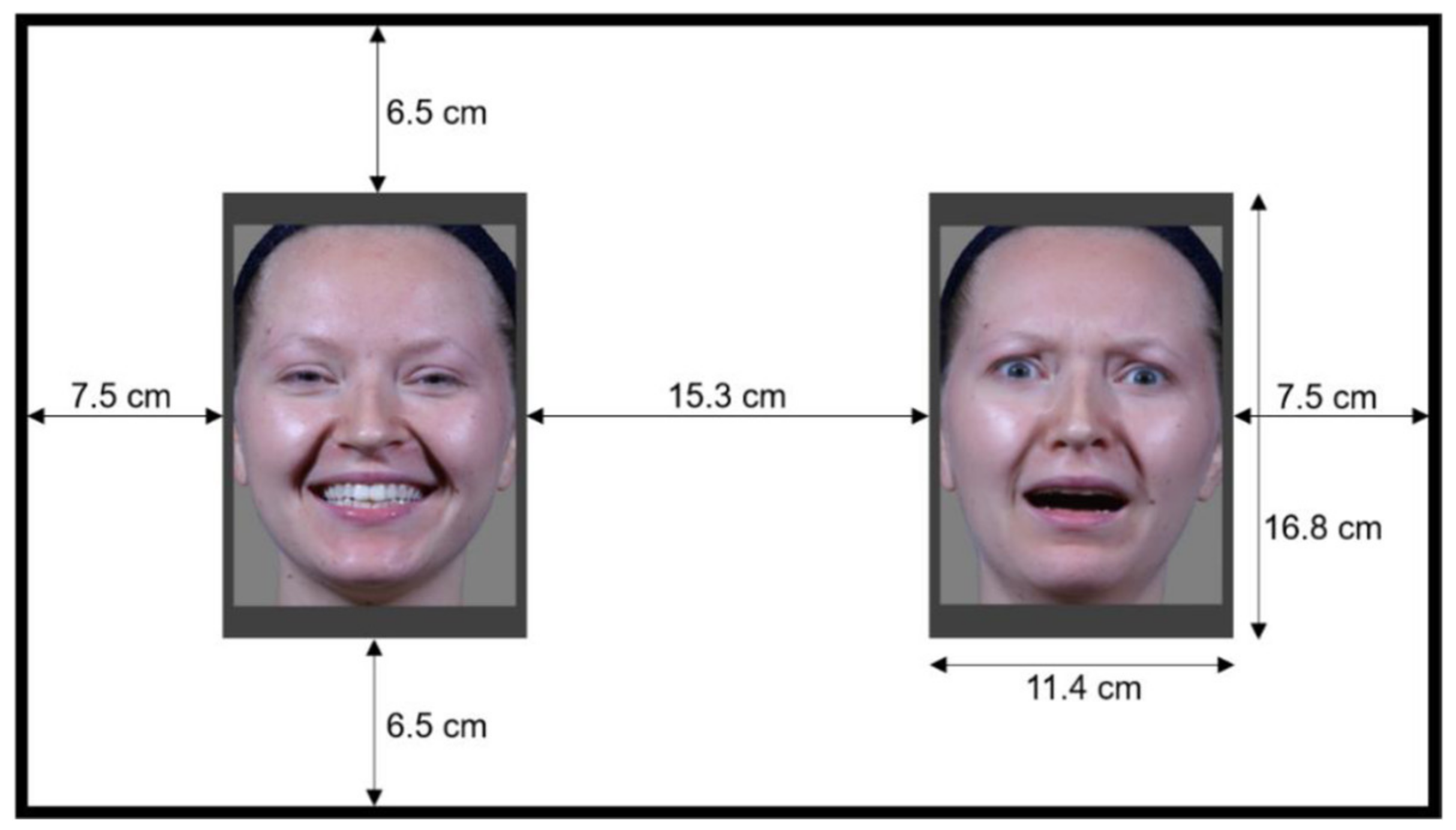 Brainsci 12 00479 g003