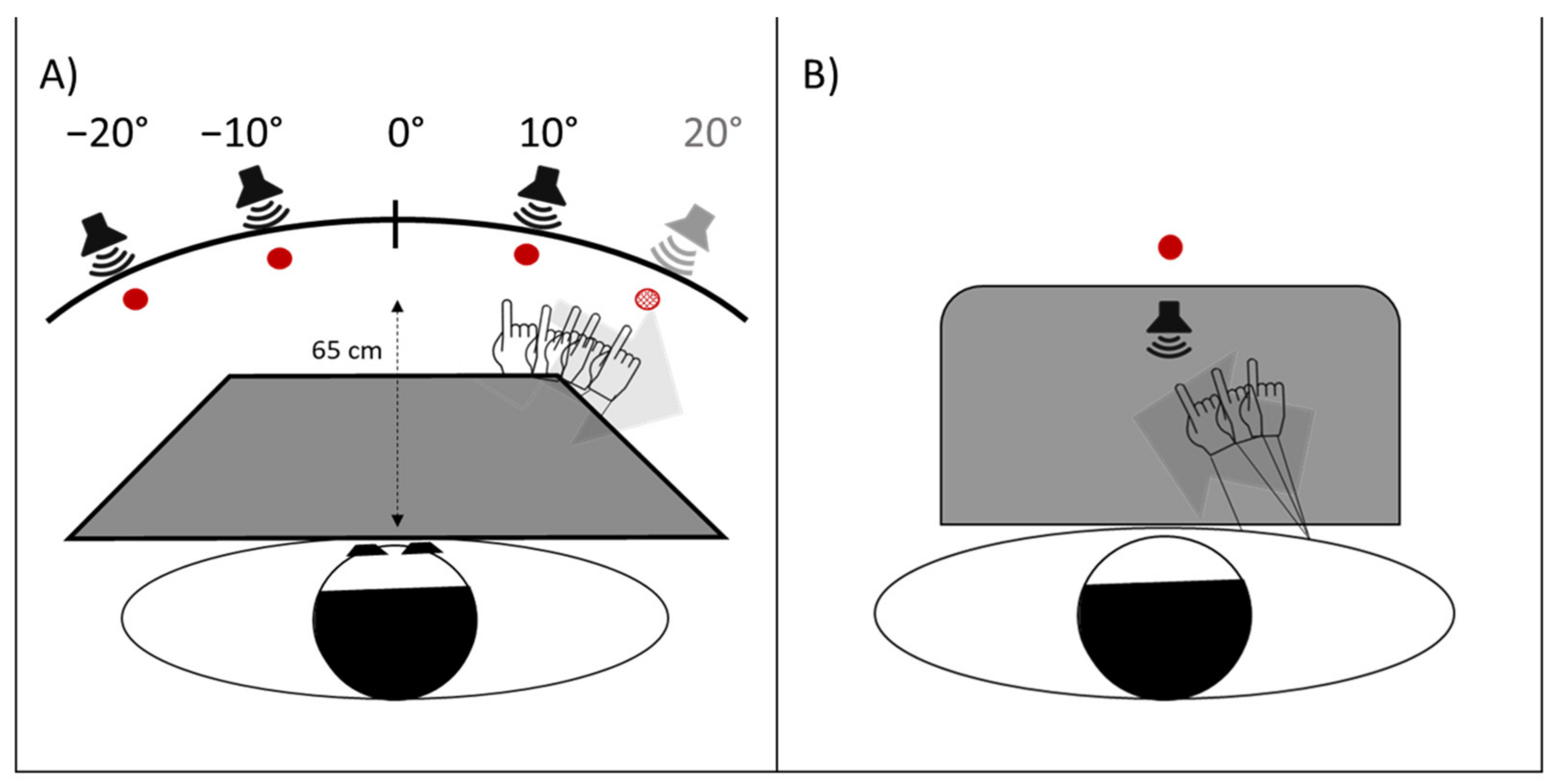 Brainsci 12 00480 g004