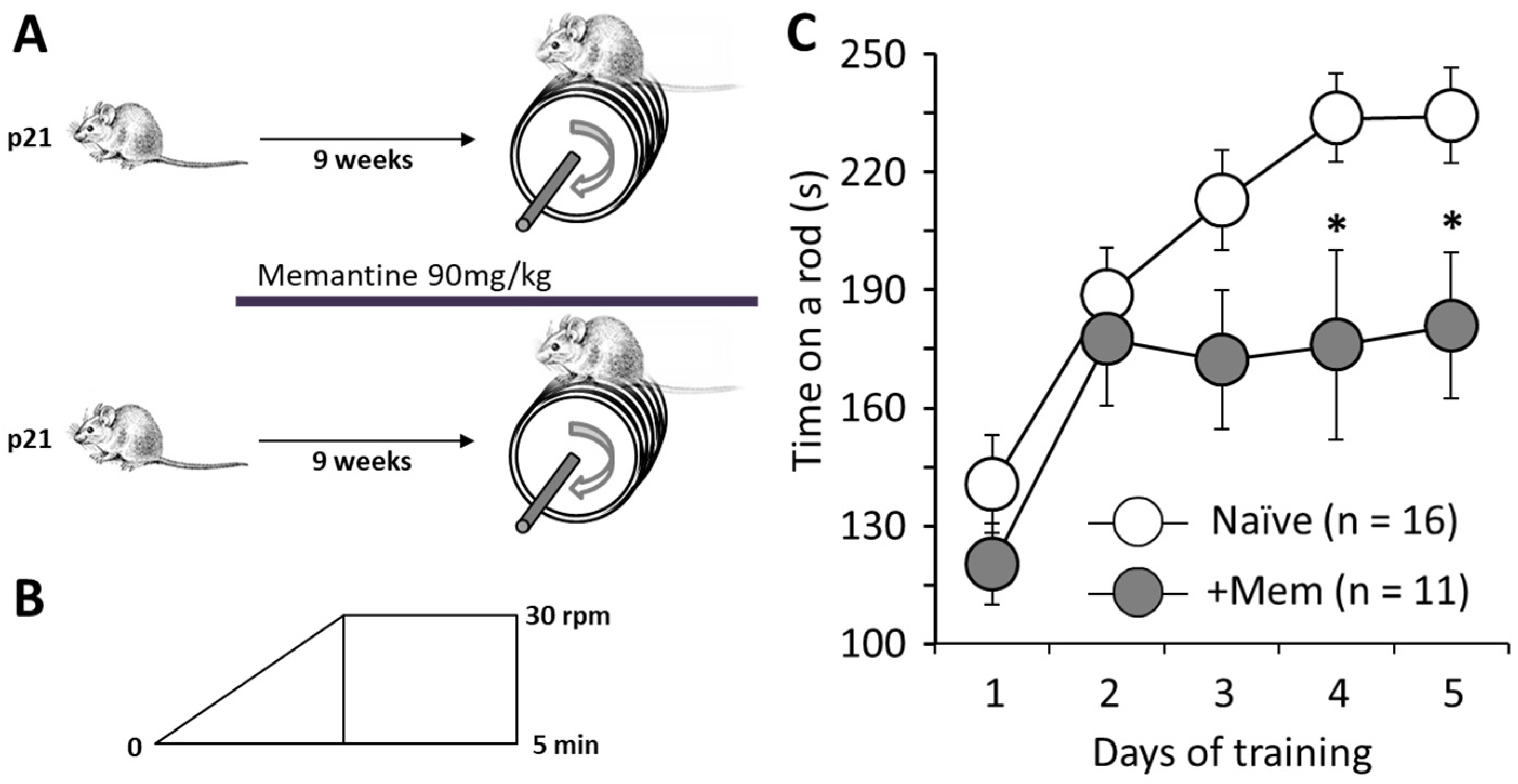 Brainsci 12 00495 g001