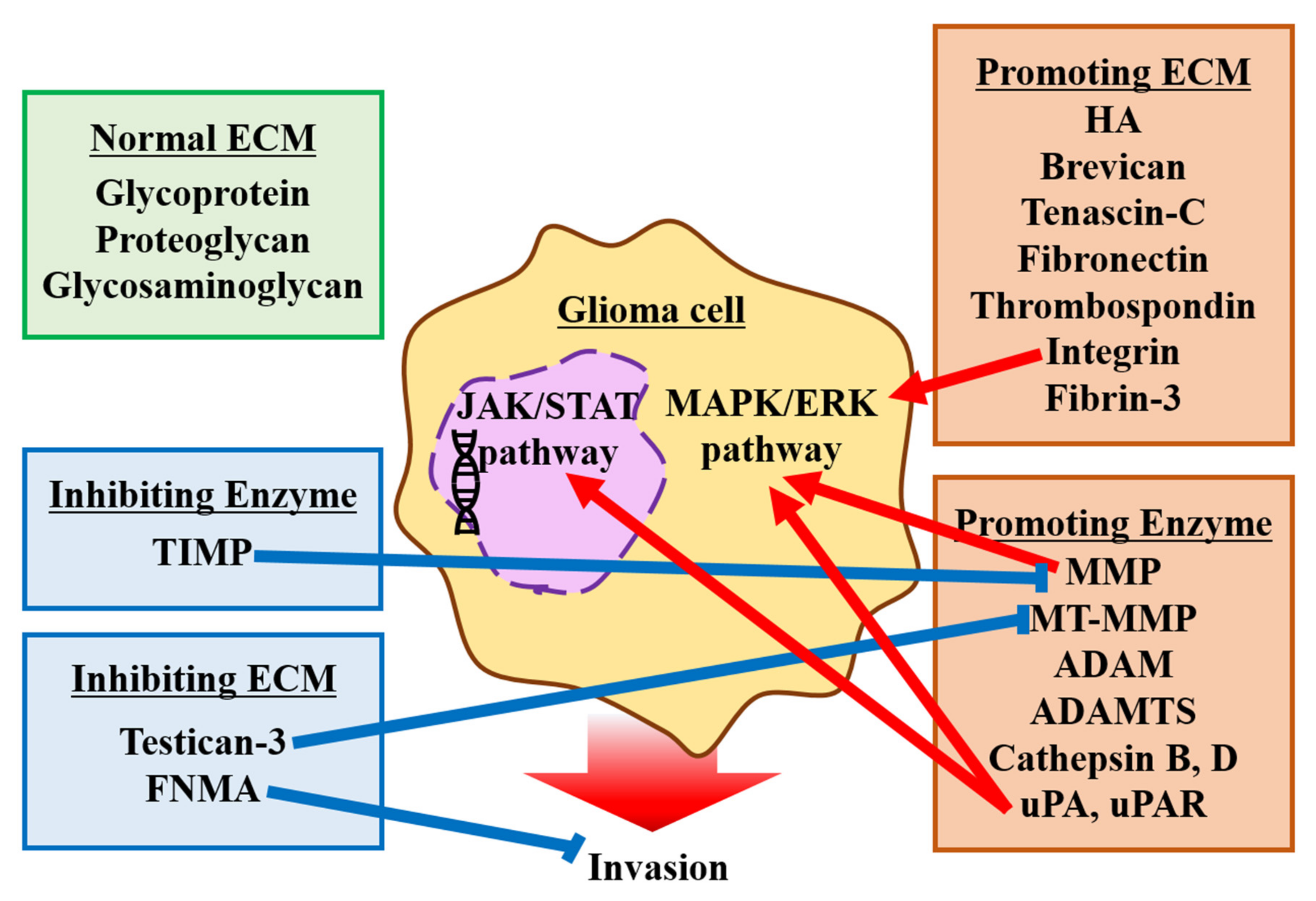 Brainsci 12 00505 g002