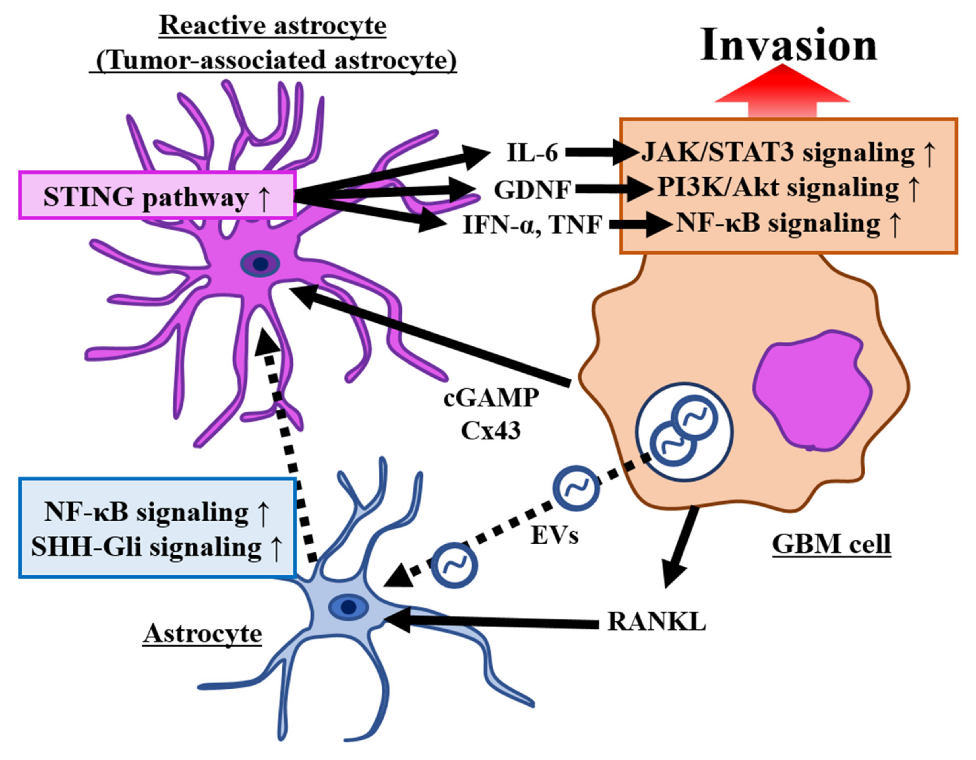 Brainsci 12 00505 g003