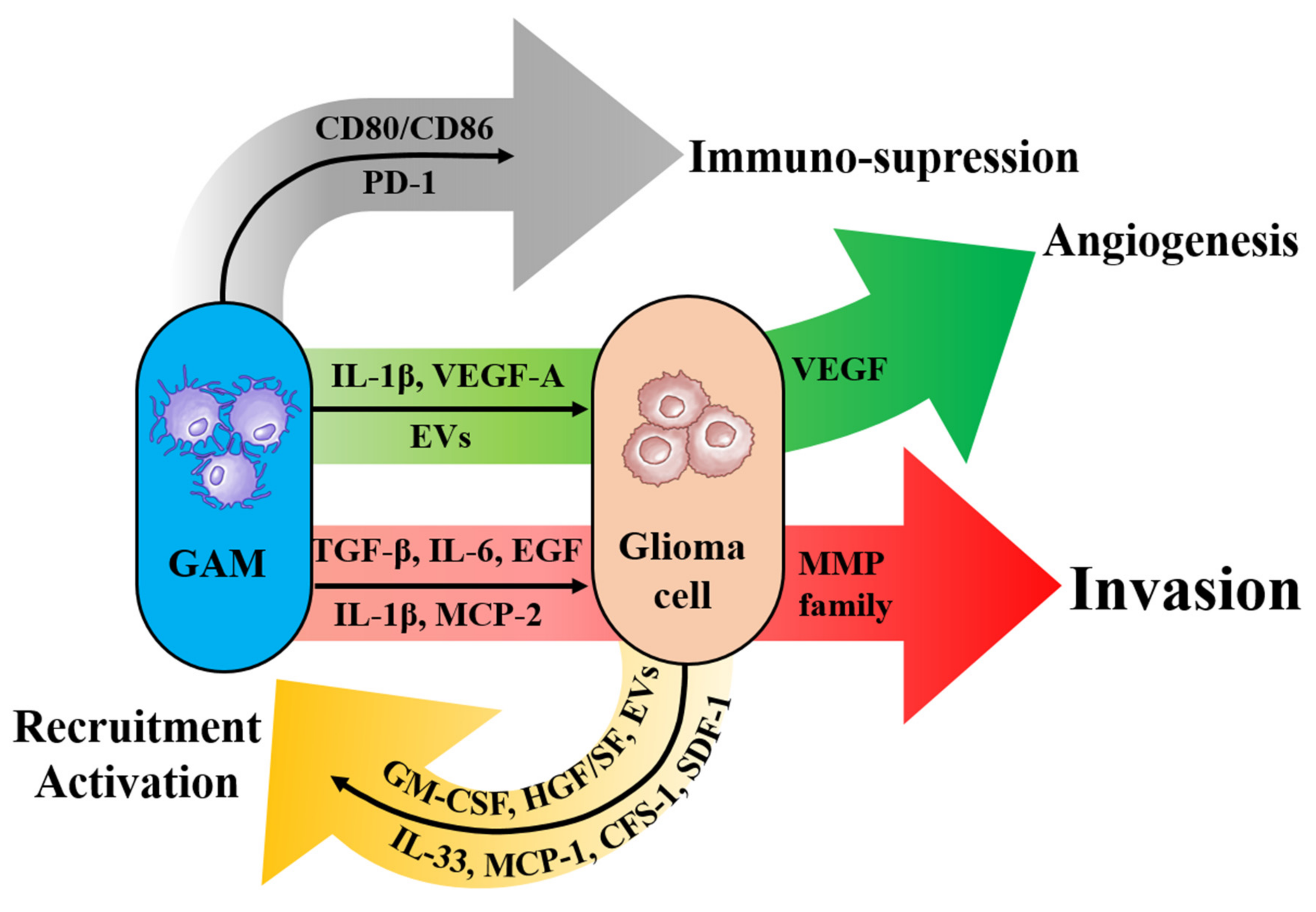 Brainsci 12 00505 g004