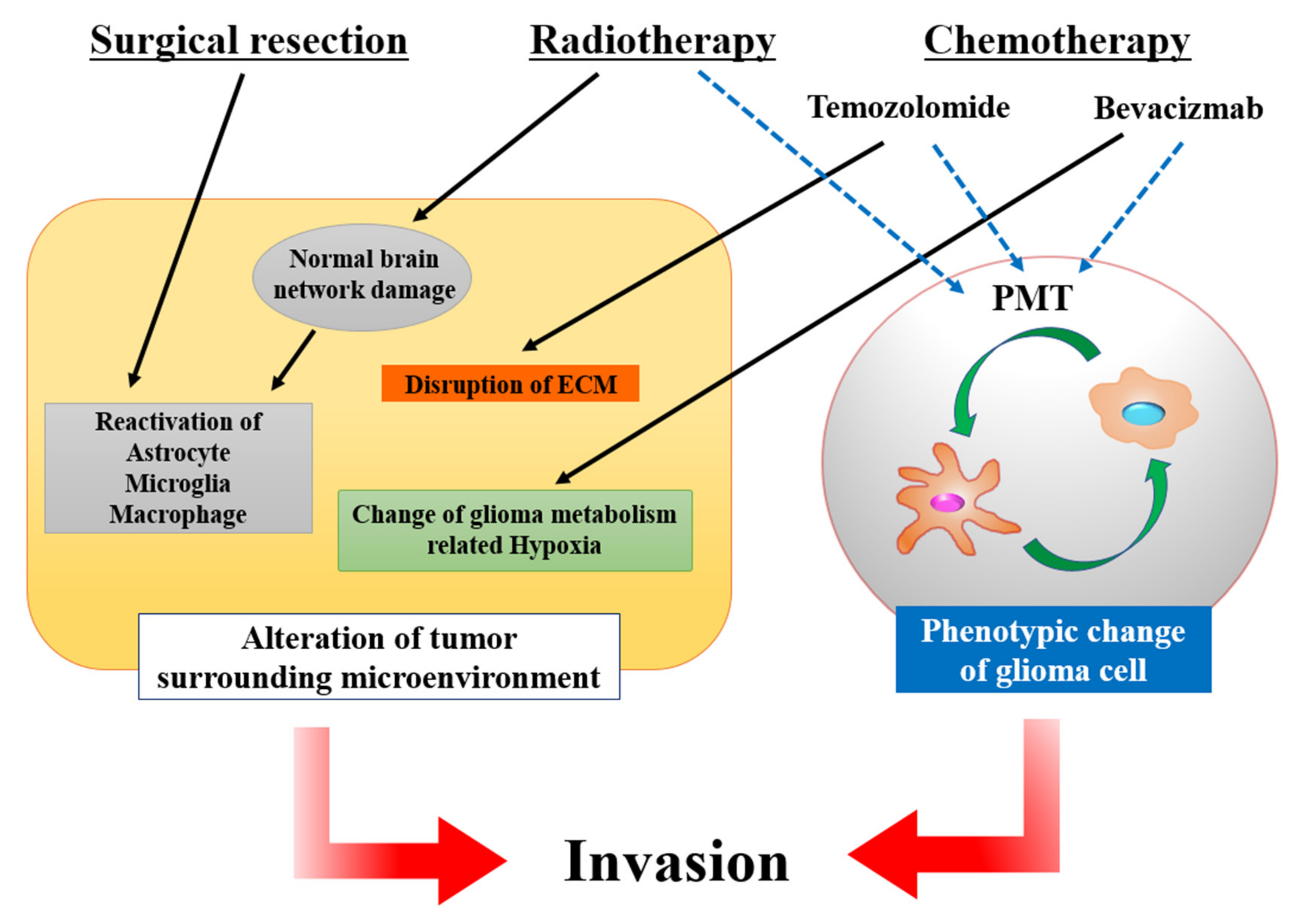 Brainsci 12 00505 g006