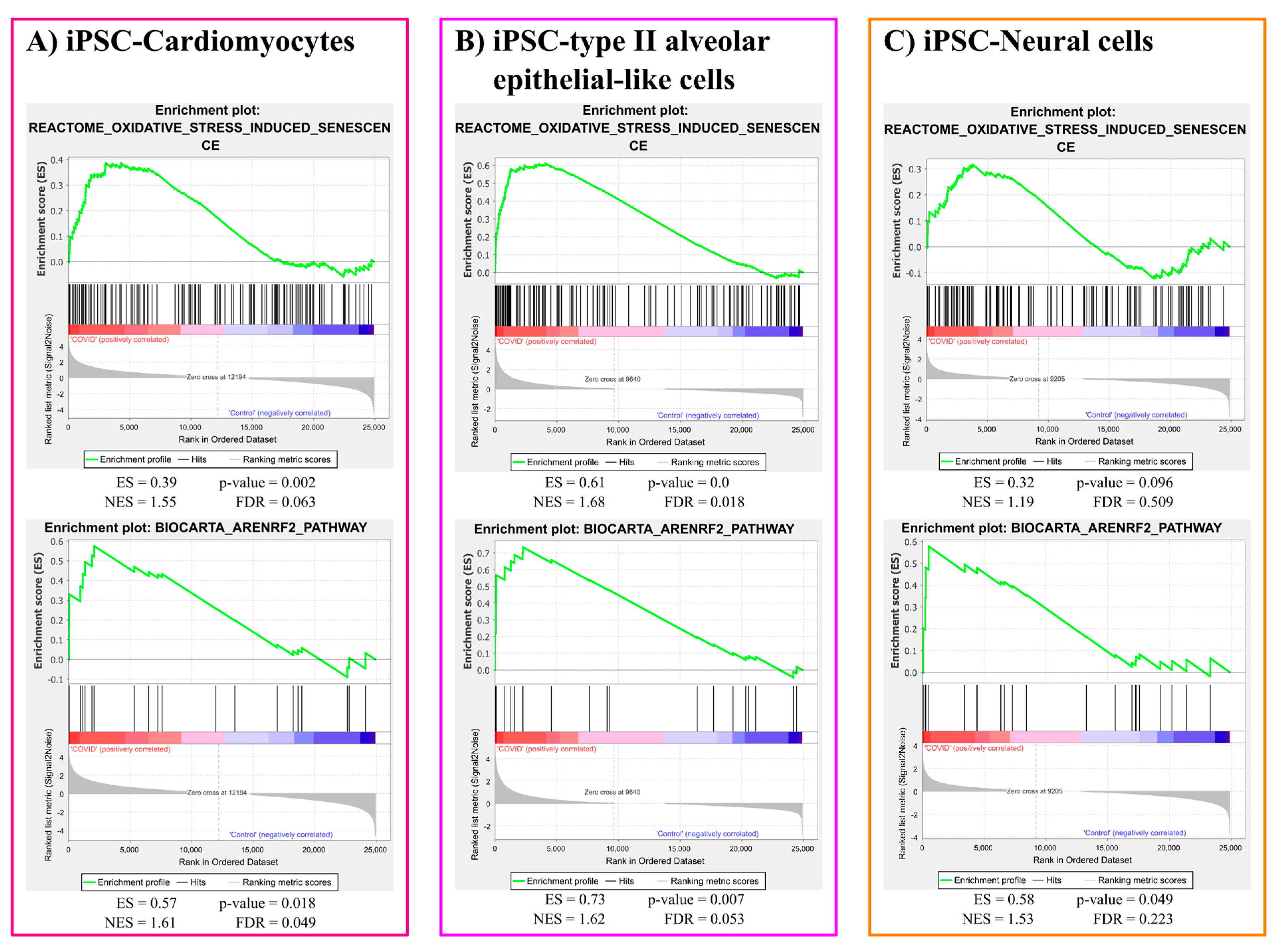 Brainsci 12 00507 g001 Brainsci 12 00507 g001
