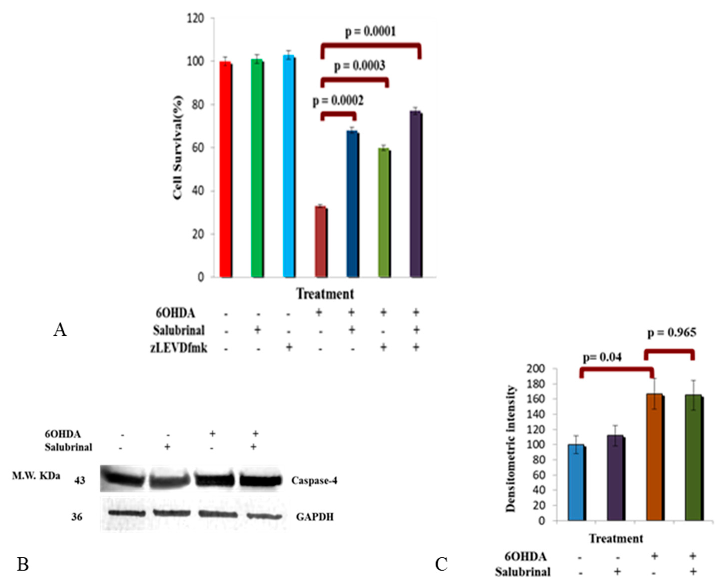 Brainsci 12 00507 g005 Brainsci 12 00507 g005
