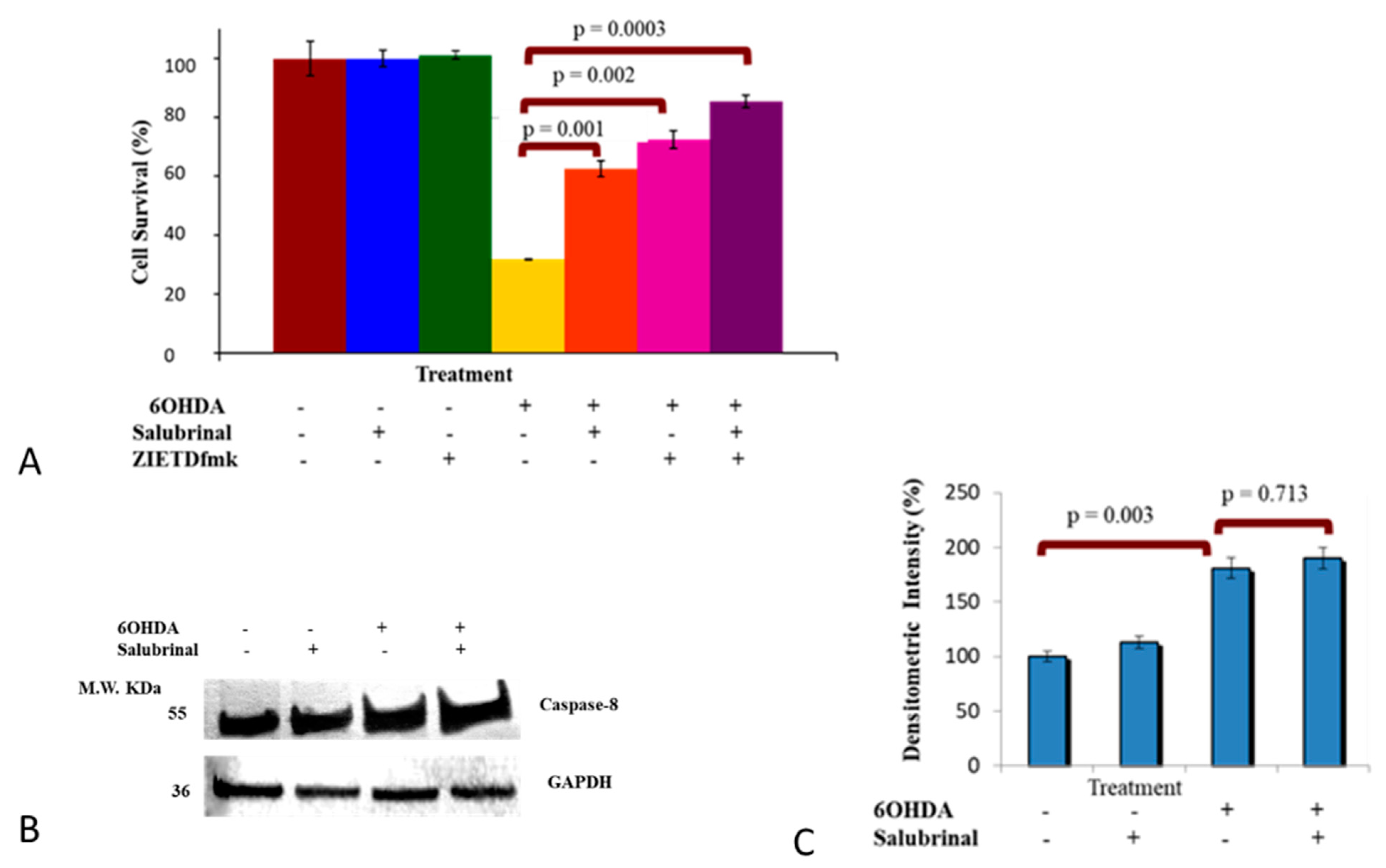 Brainsci 12 00507 g006 Brainsci 12 00507 g006