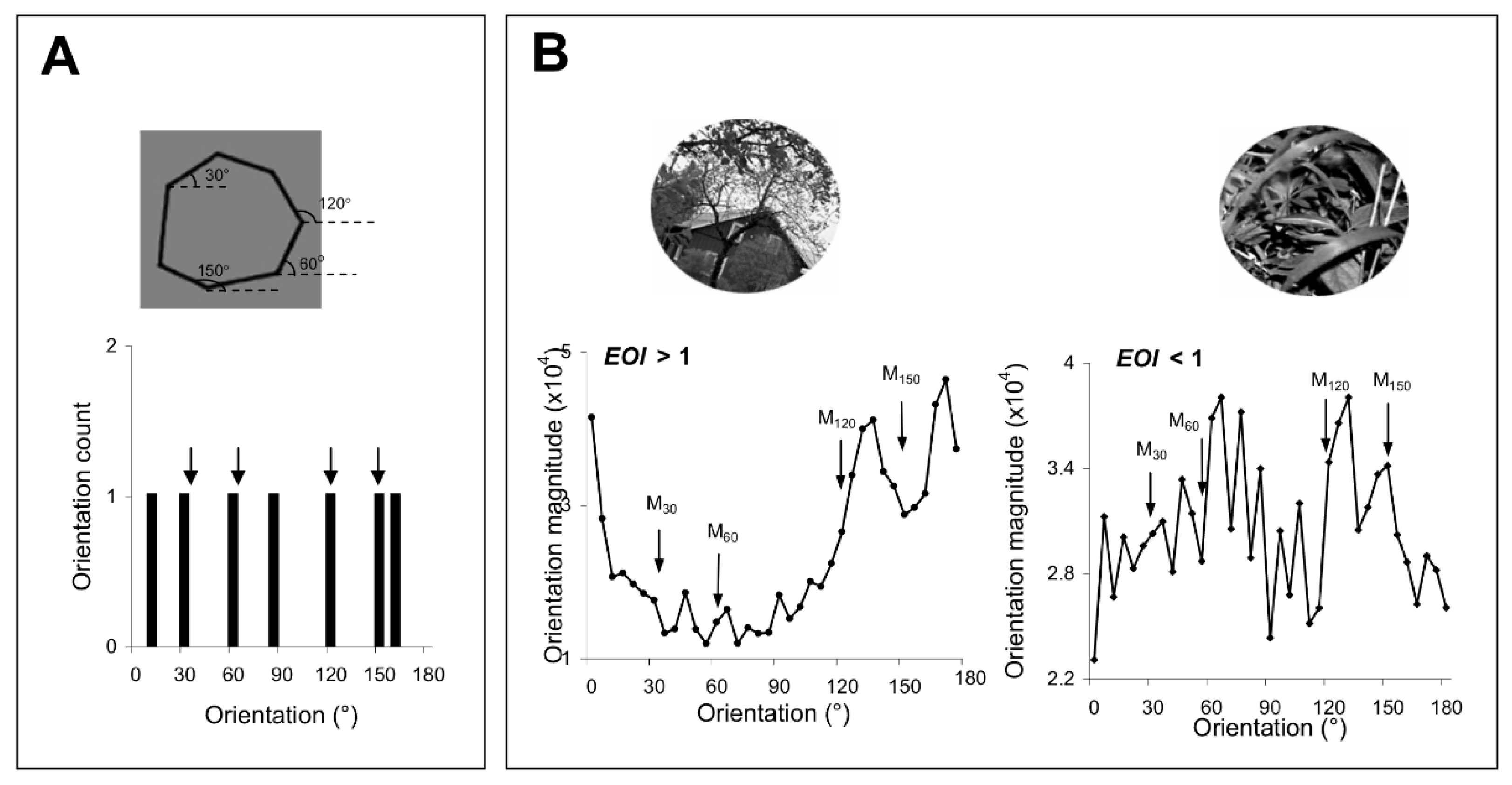 Brainsci 12 00508 g002 550