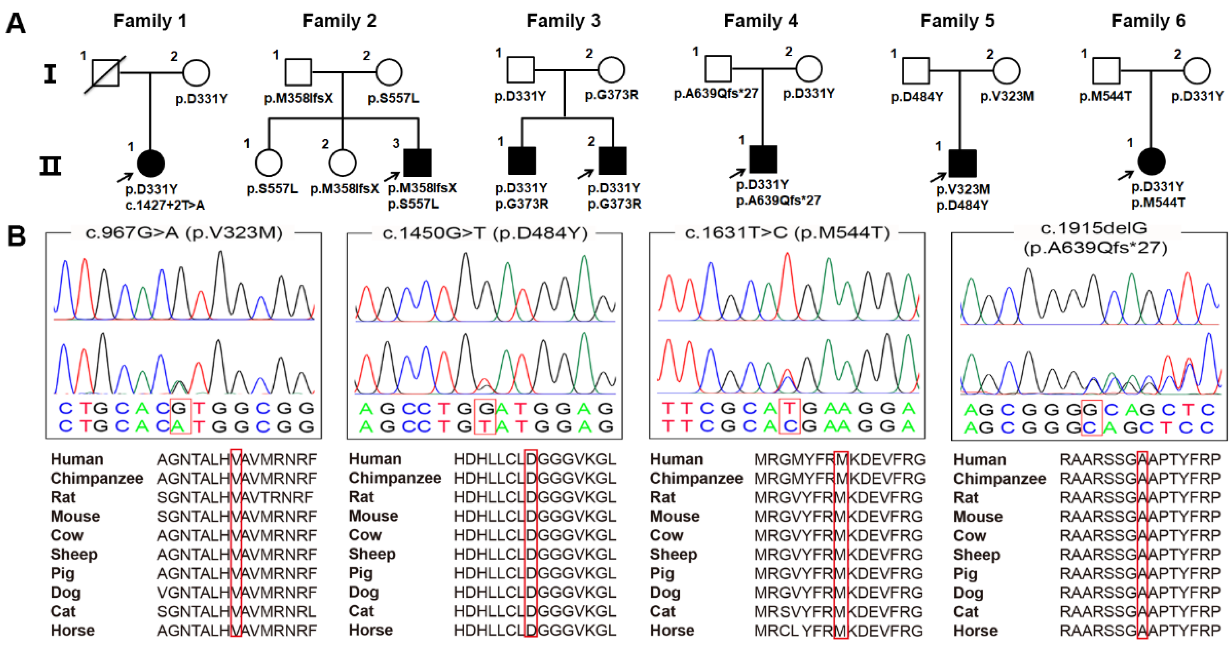 Brainsci 12 00517 g001