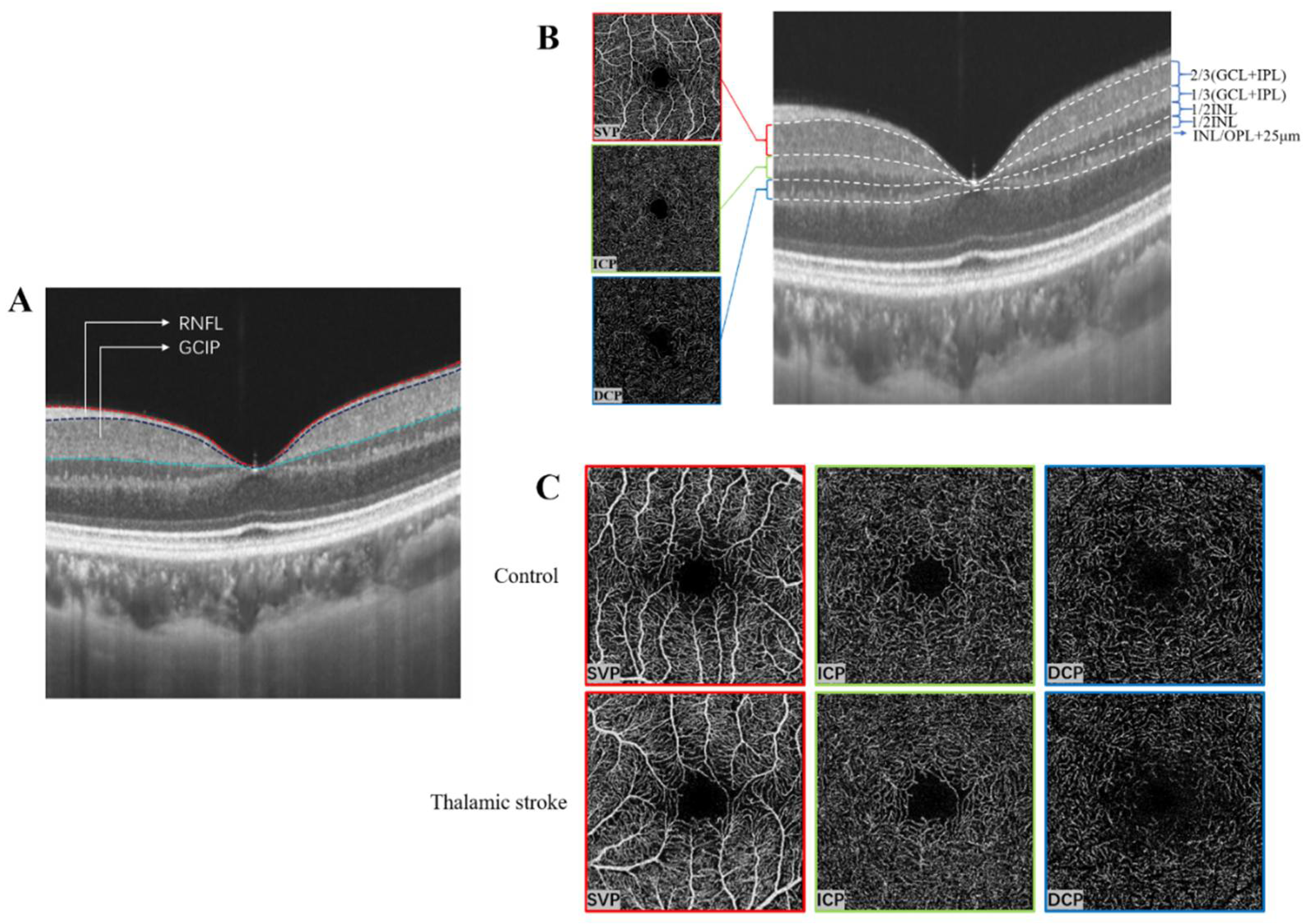 Brainsci 12 00518 g002