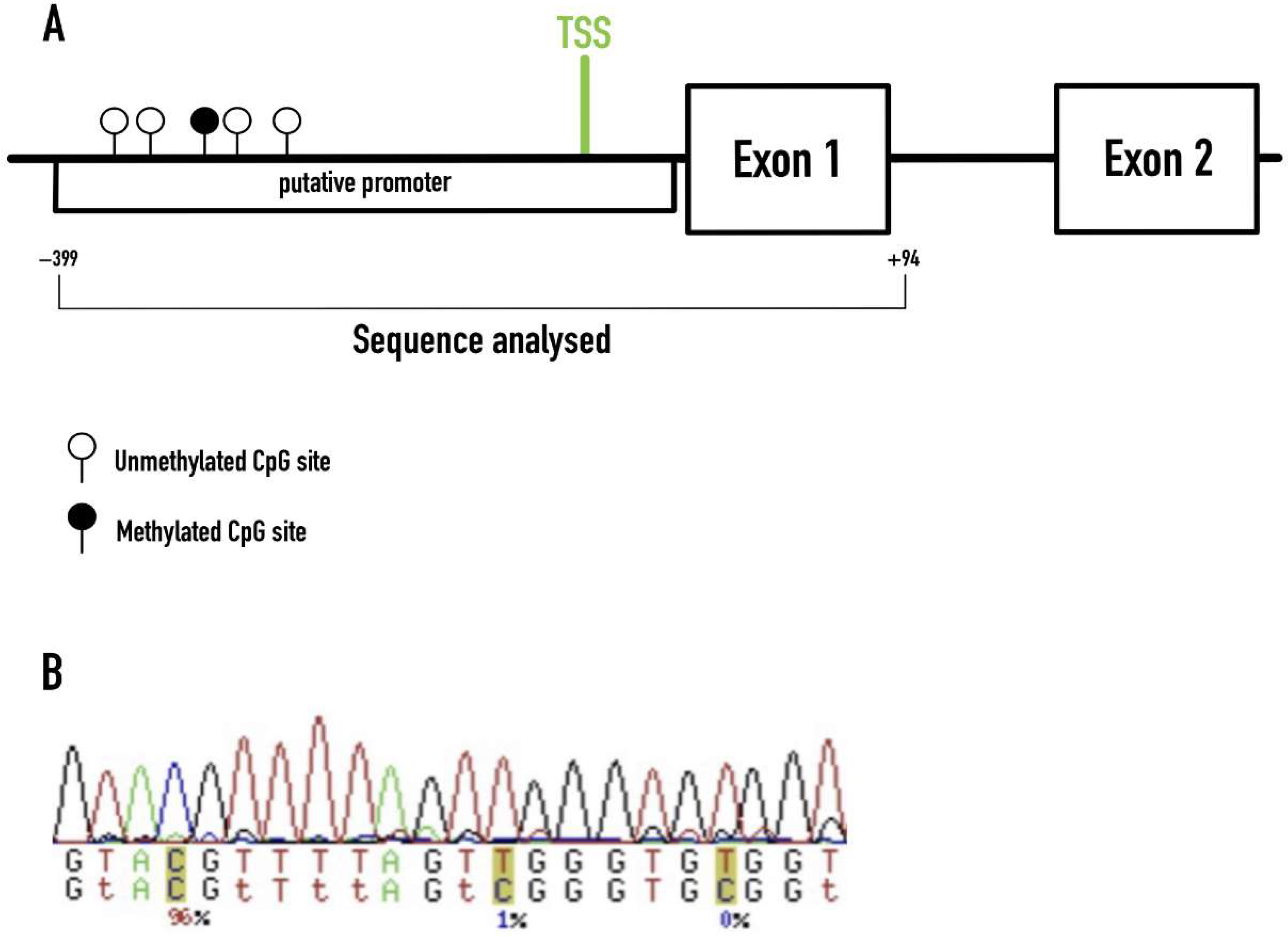 Brainsci 12 00526 g001