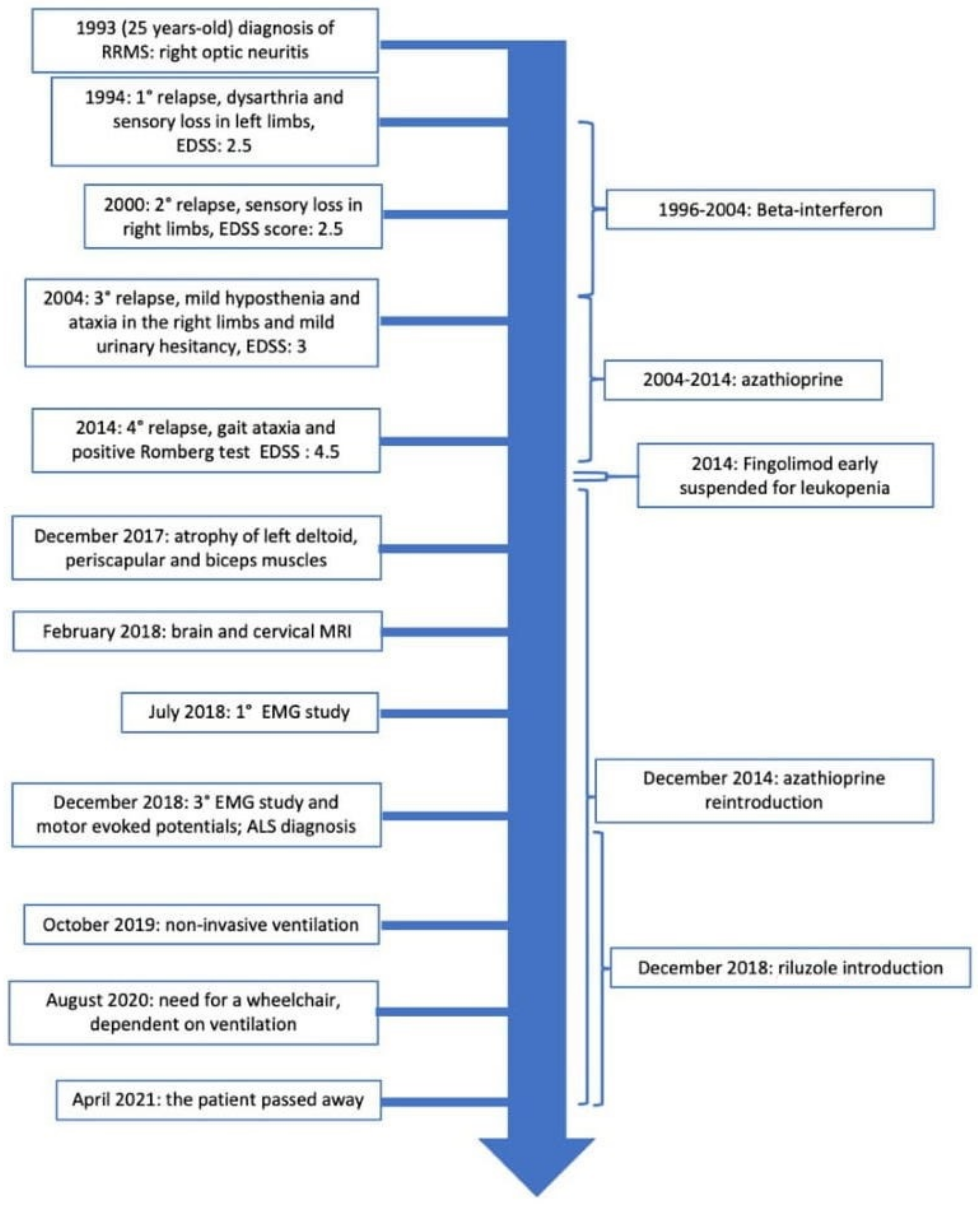 Brainsci 12 00531 g002