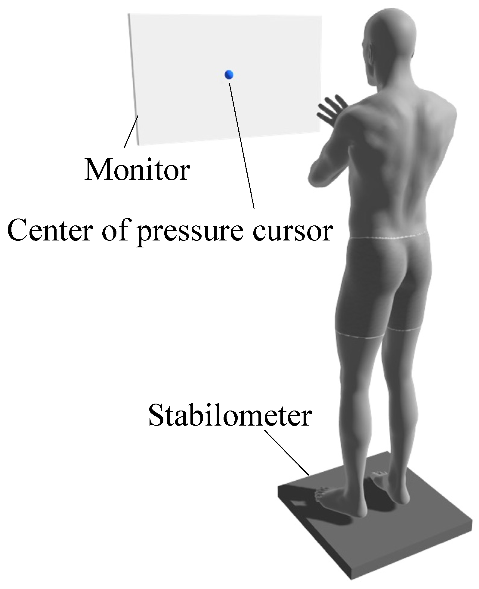 Brainsci 12 00538 g002