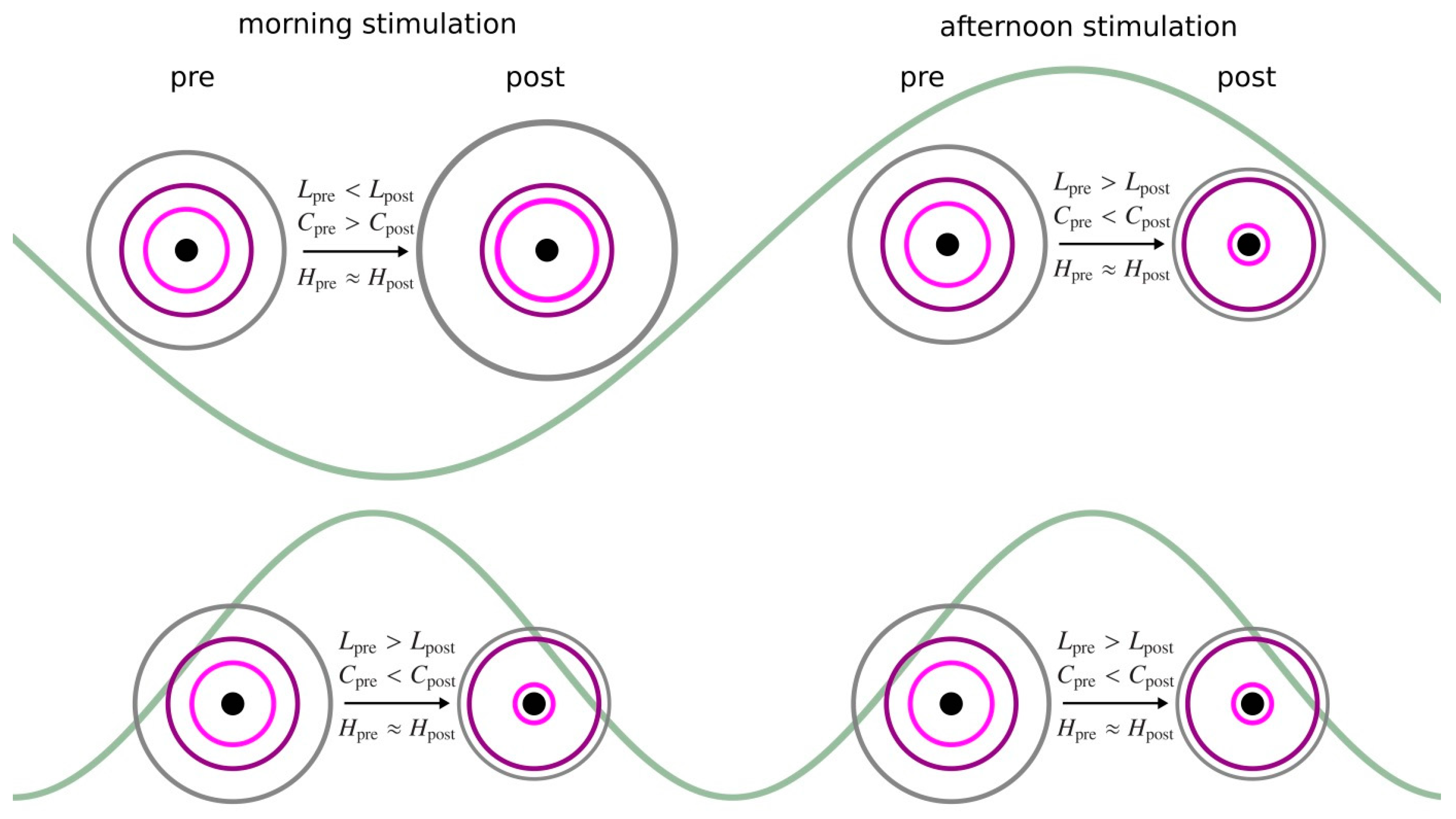 Brainsci 12 00546 g005