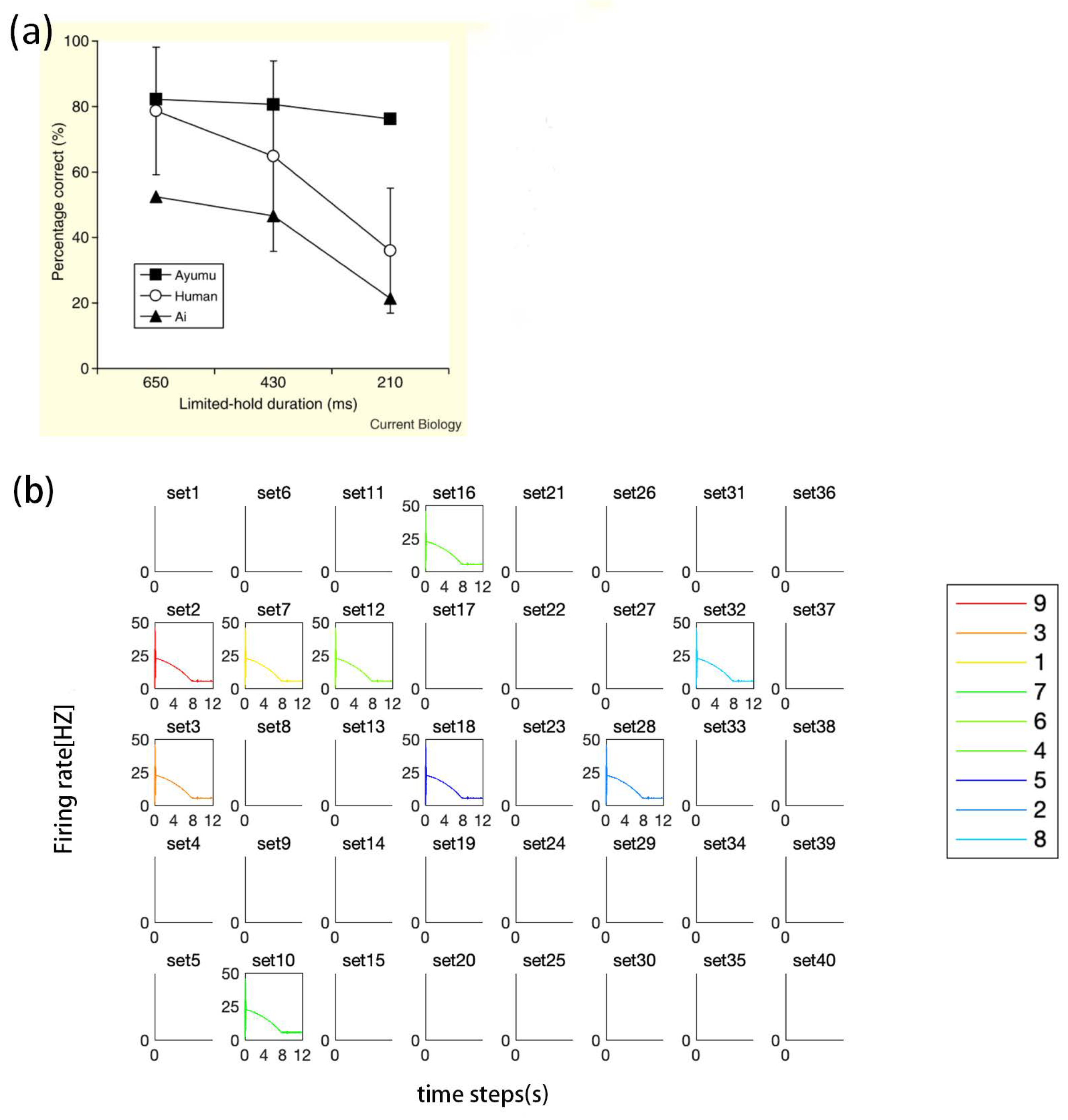 Brainsci 12 00547 g015 Brainsci 12 00547 g015
