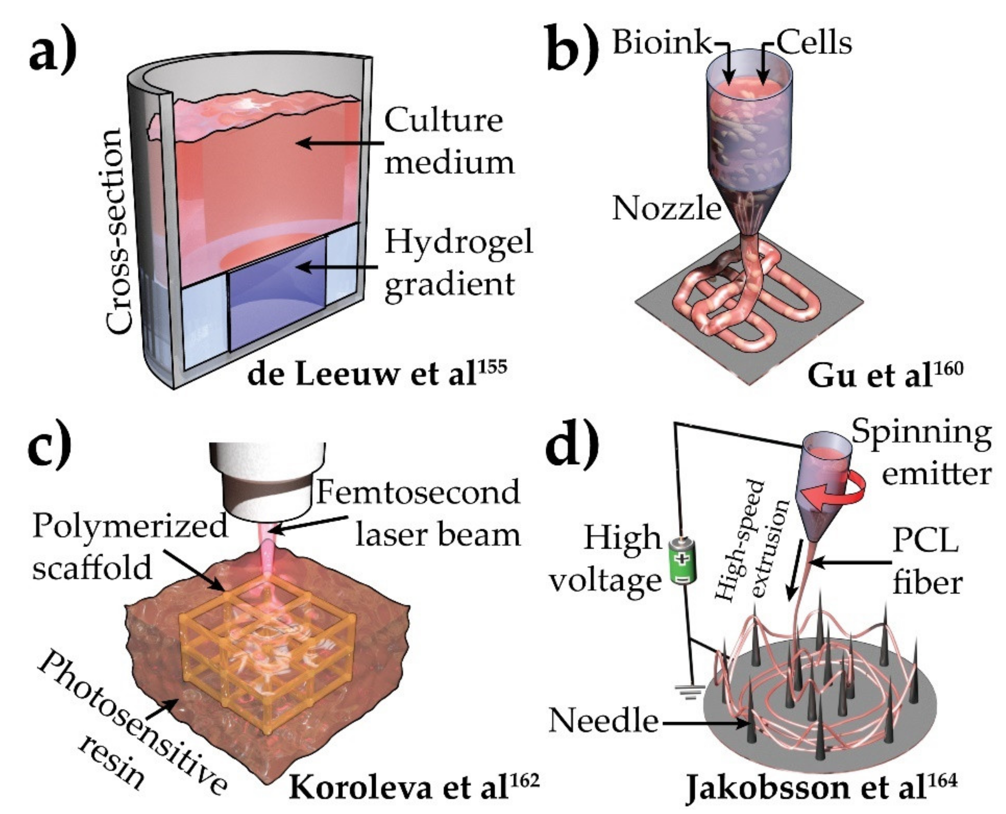Brainsci 12 00552 g005