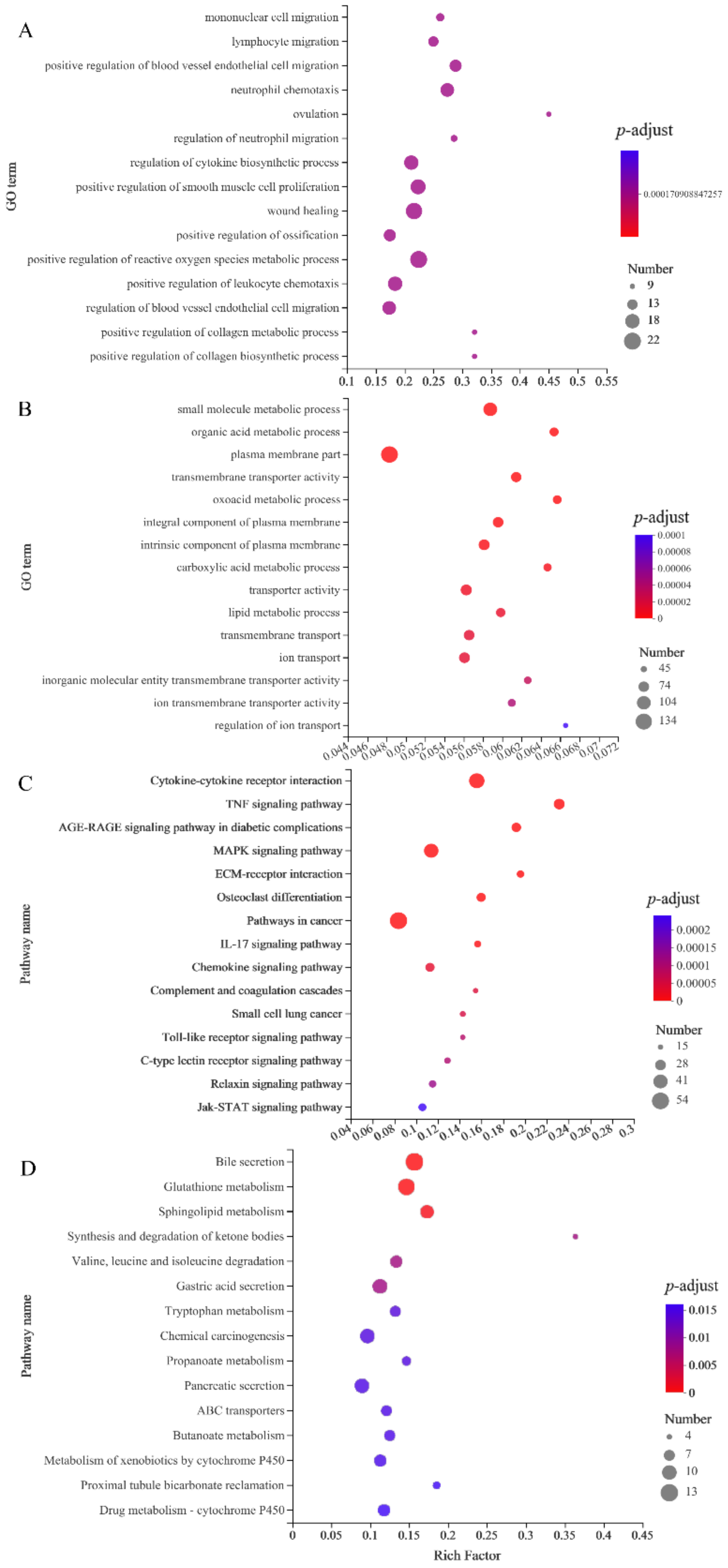 Brainsci 12 00572 g003 550
