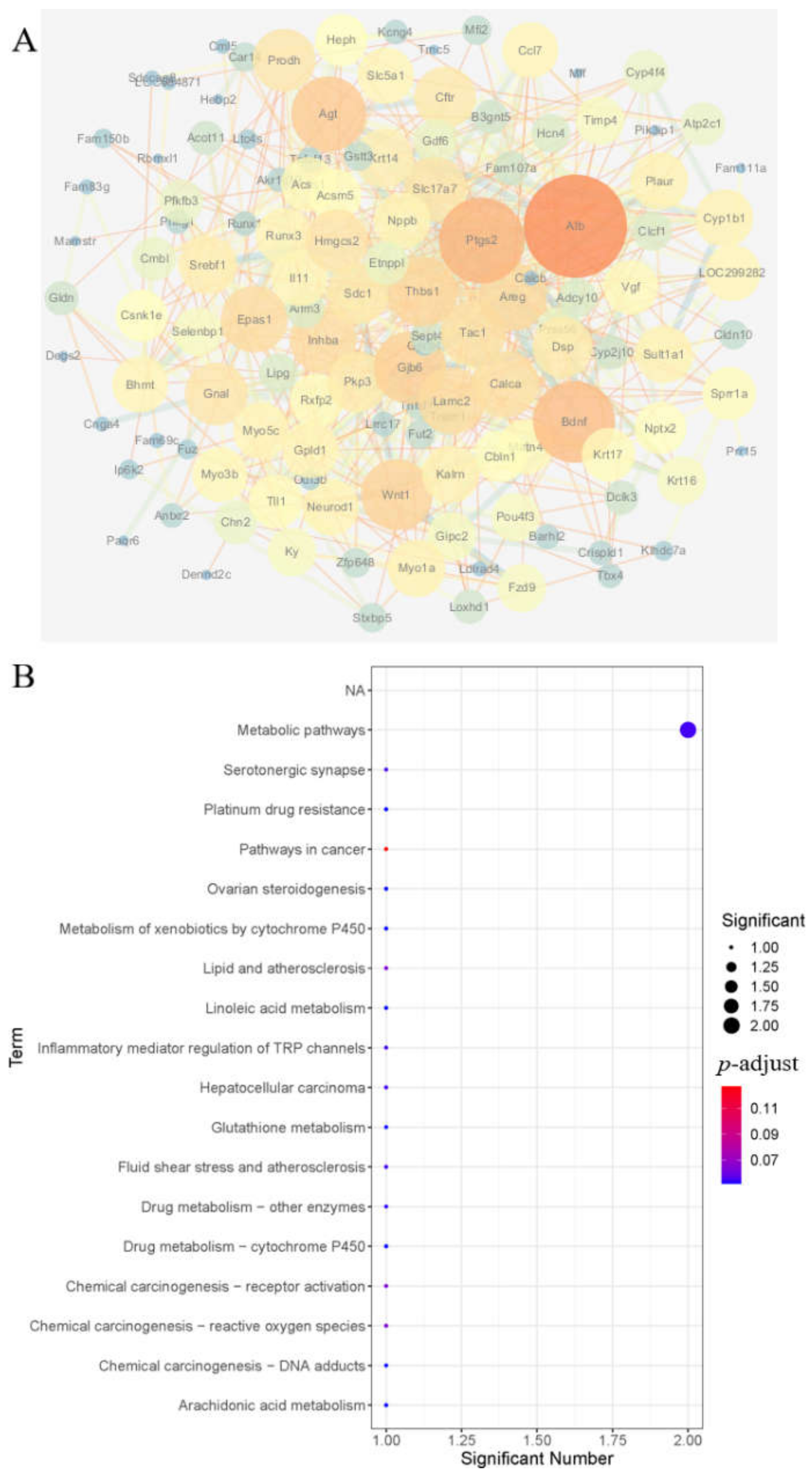 Brainsci 12 00572 g004 550