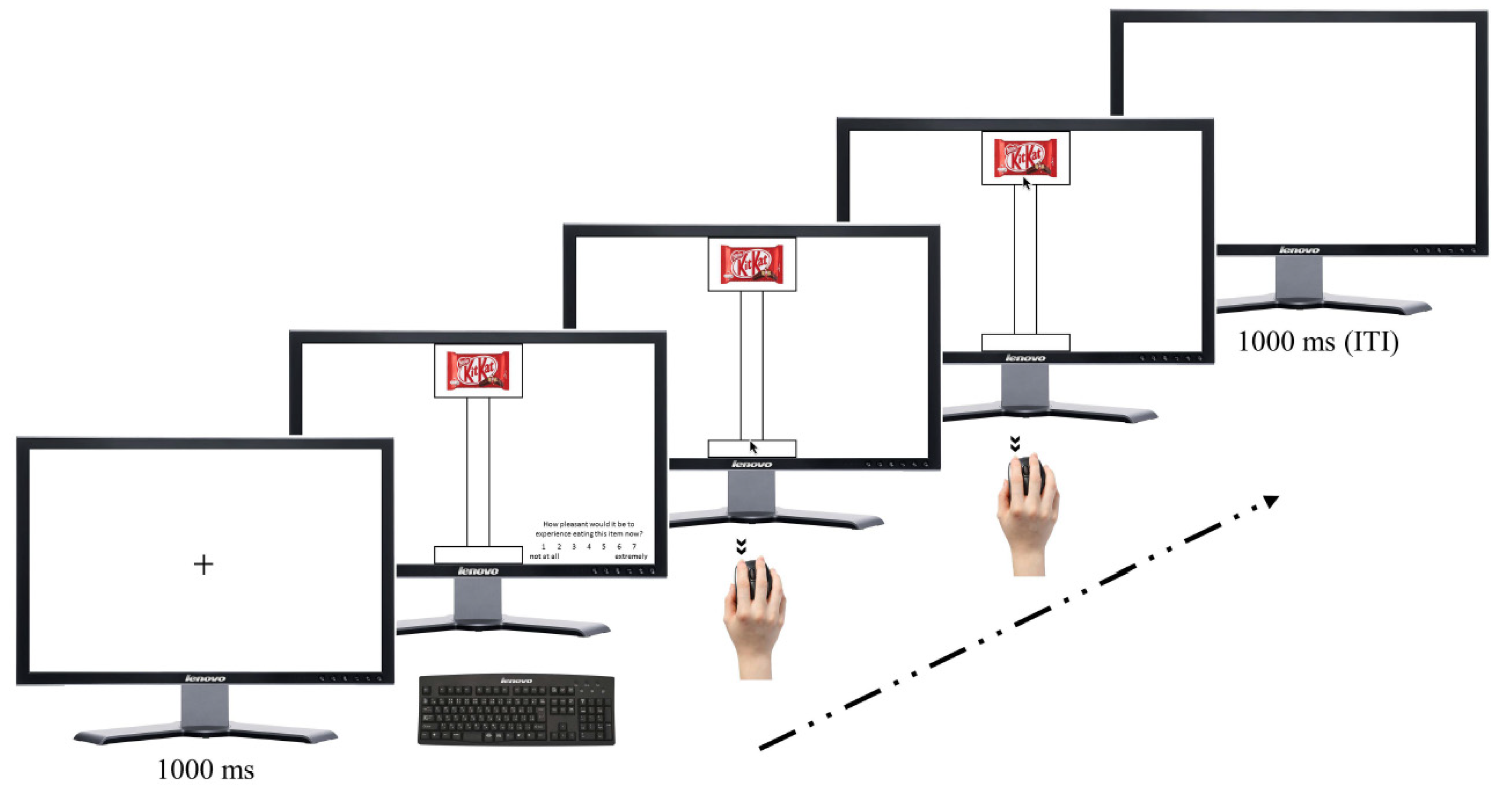 Brainsci 12 00582 g002 Brainsci 12 00582 g002
