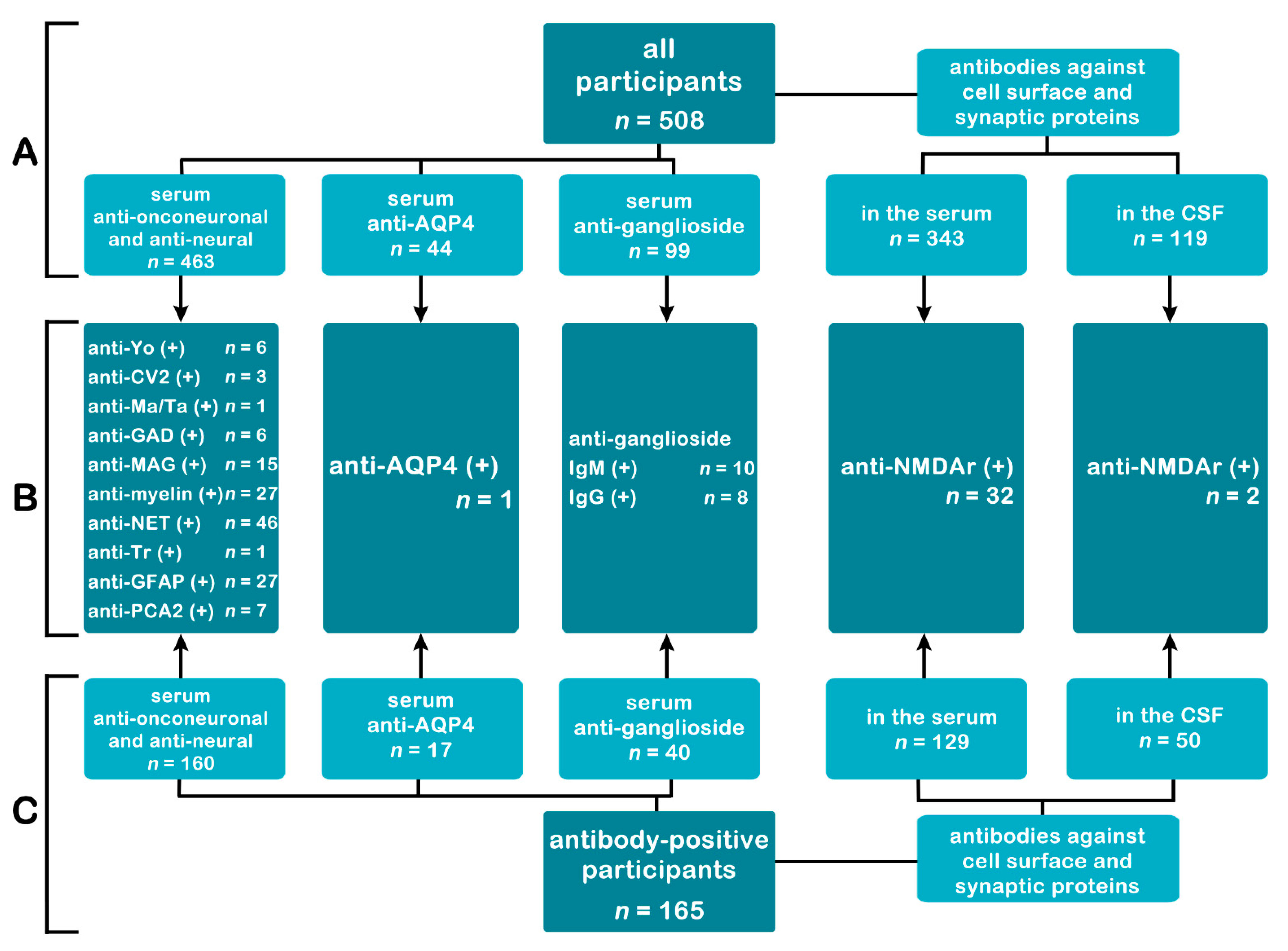 Brainsci 12 00584 g001