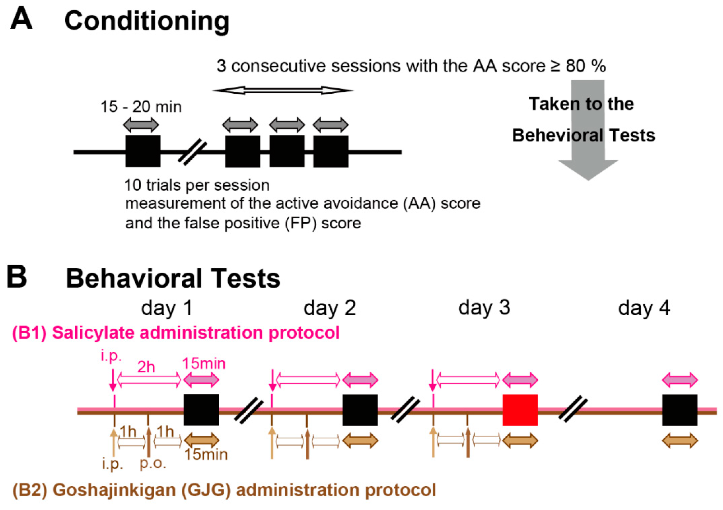Brainsci 12 00587 g001 Brainsci 12 00587 g001
