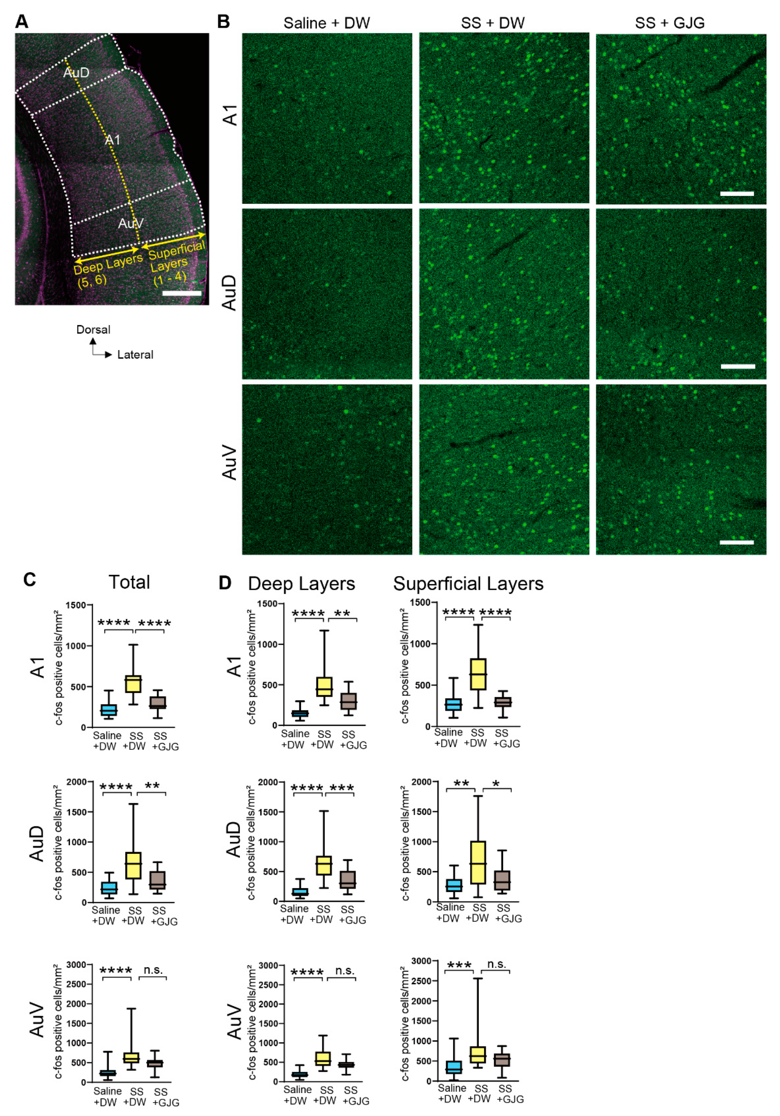 Brainsci 12 00587 g004 Brainsci 12 00587 g004