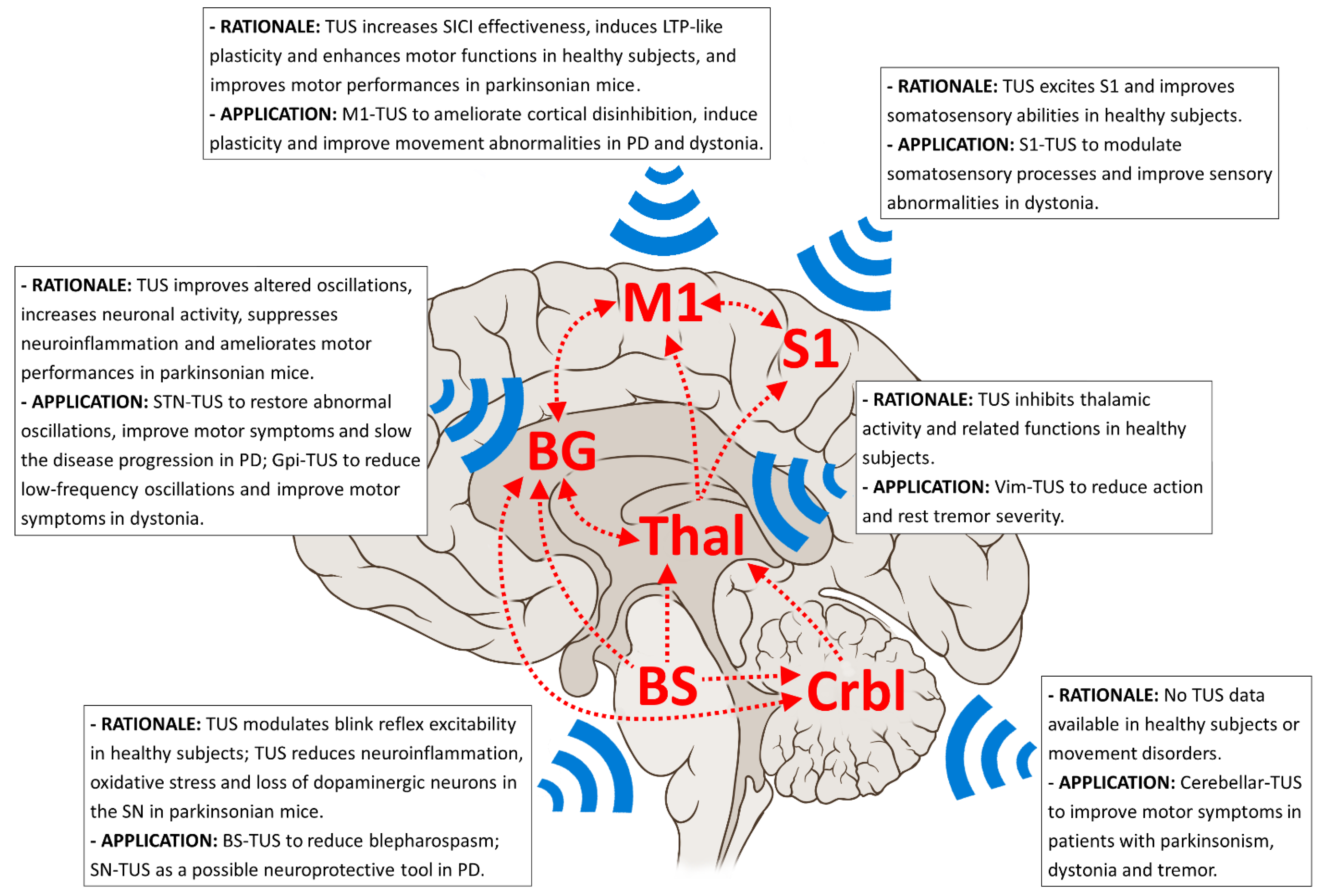 How movement promotes language - TU Braunschweig