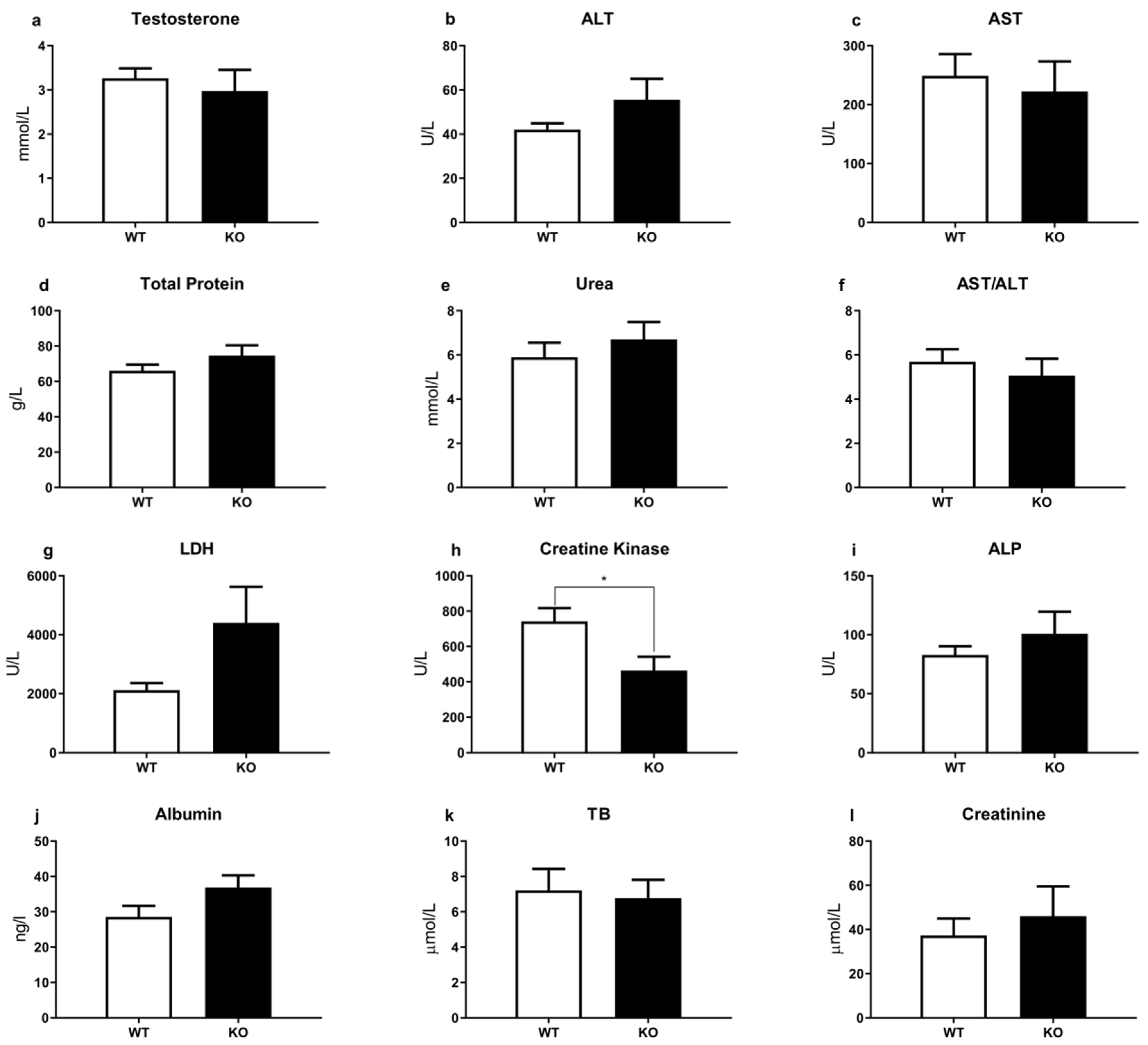 Brainsci 12 00614 g003 Brainsci 12 00614 g003