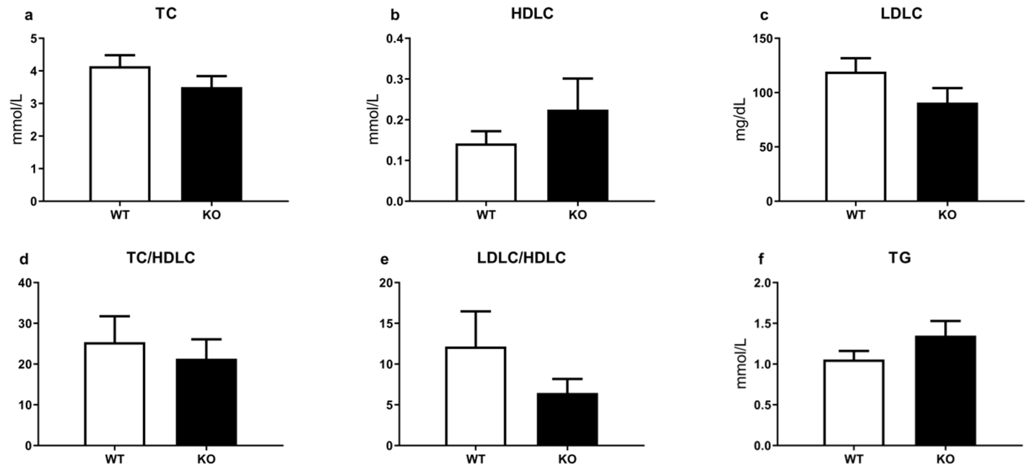 Brainsci 12 00614 g004 Brainsci 12 00614 g004