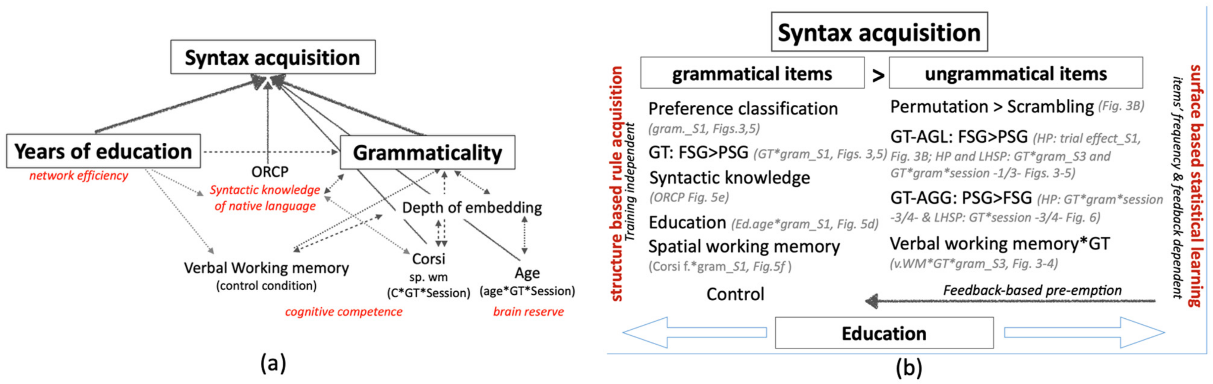 Brainsci 12 00616 g007